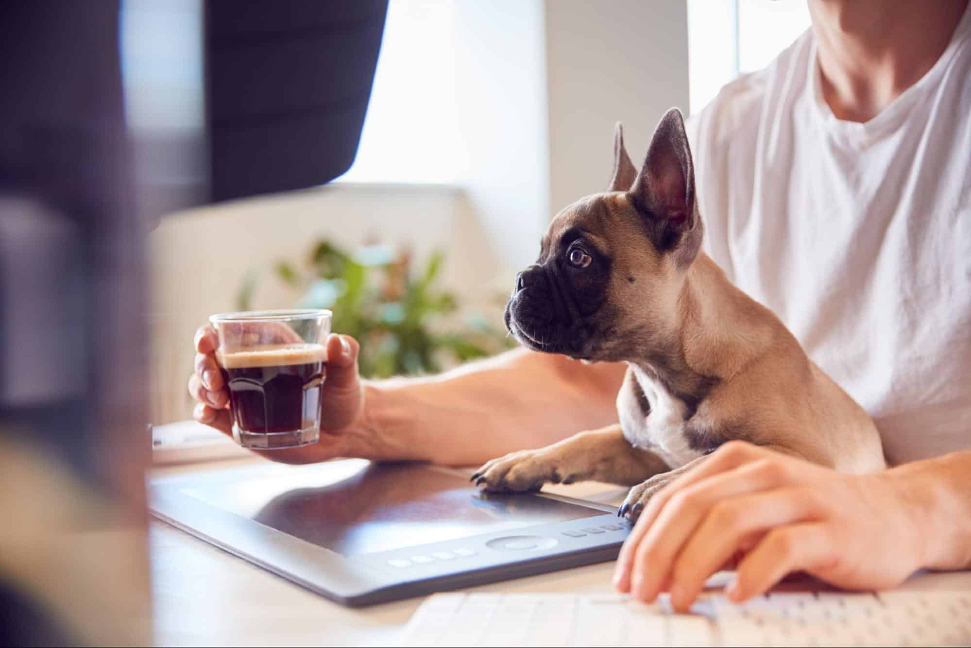 Cute dog with owner using tablet, enjoying coffee at home.