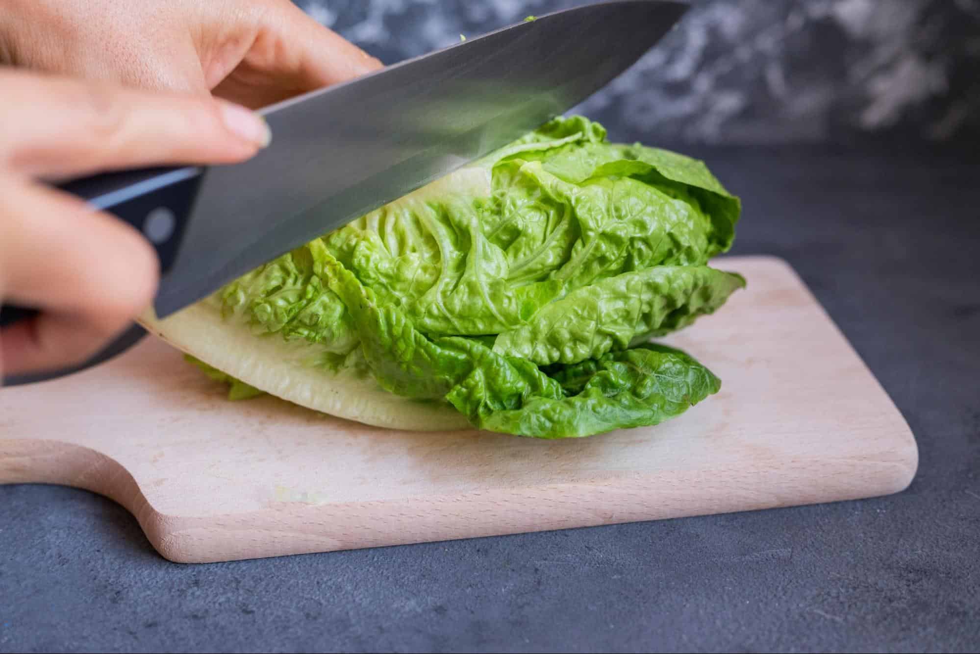 Proper Preparation of Romaine Lettuce for Dogs