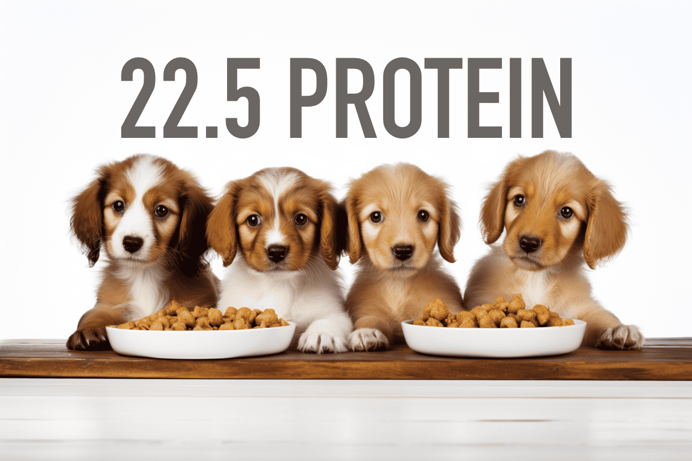Cute golden retriever puppies eating nutritious dog food with high protein content.
