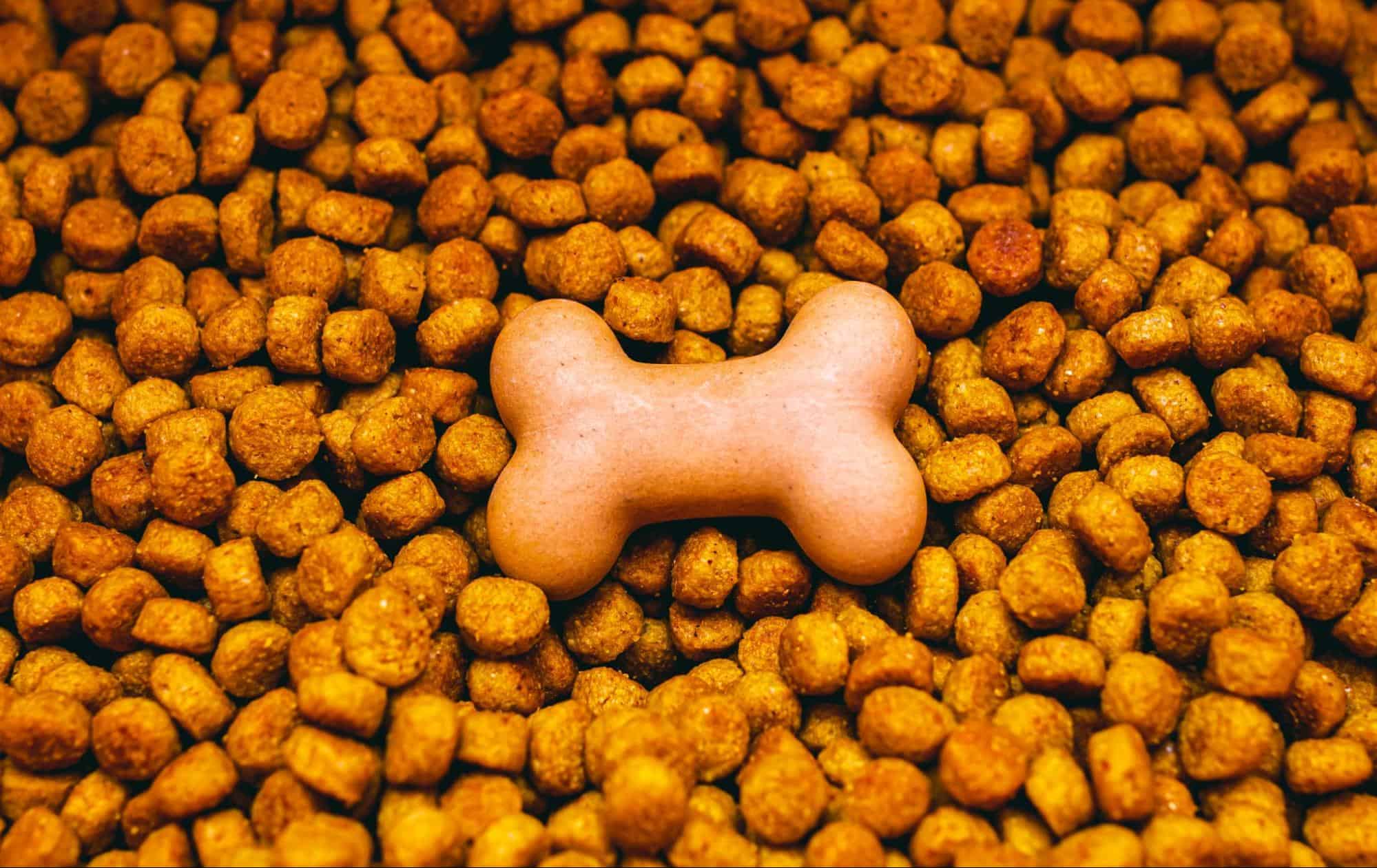 High-quality dog kibble with a bone-shaped treat for nutritious and tasty dog food options.