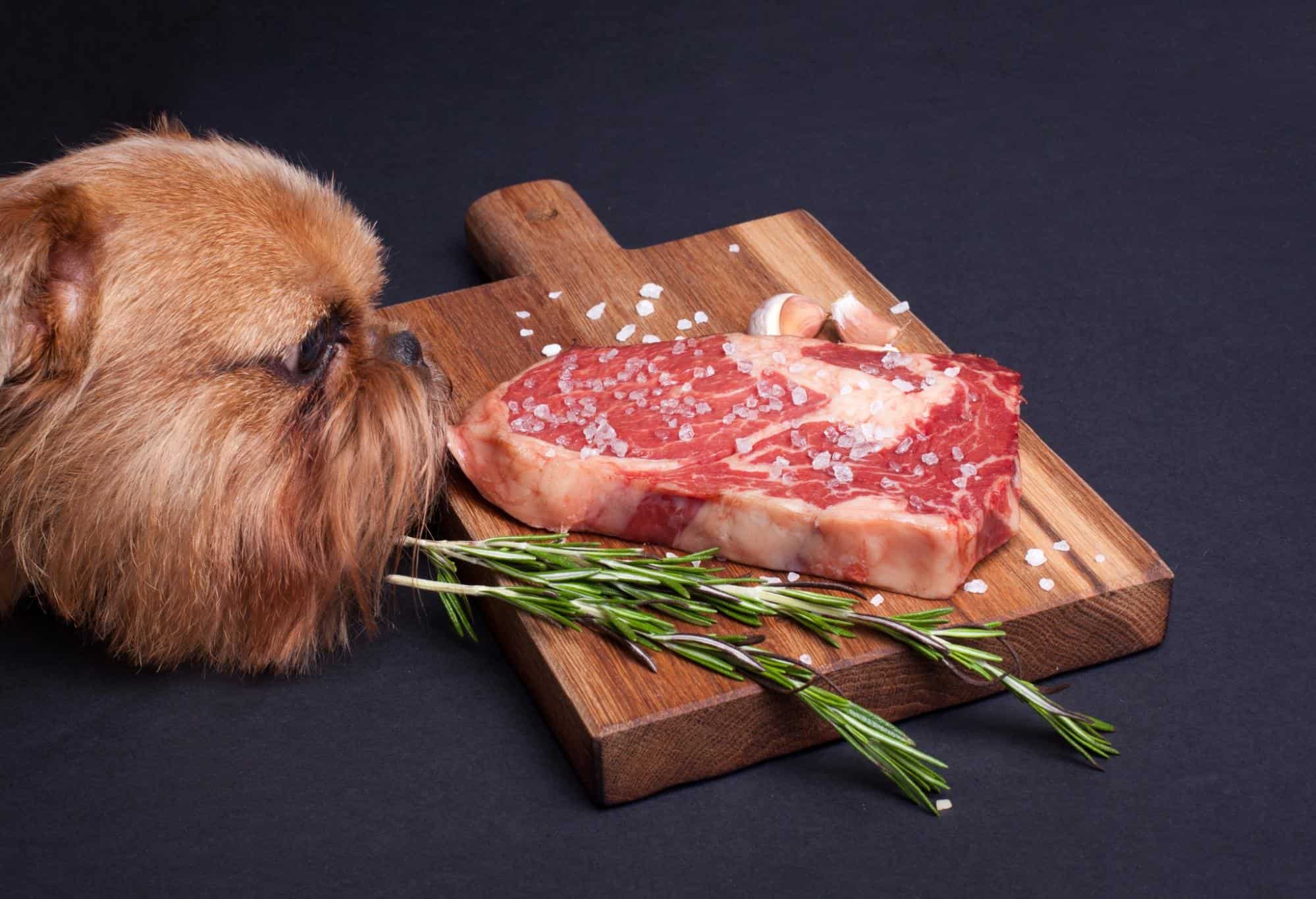 Close-up of a dog sniffing a raw steak with salt and garlic on a wooden cutting board.