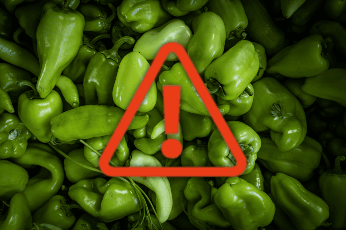 Fresh green peppers at the market.