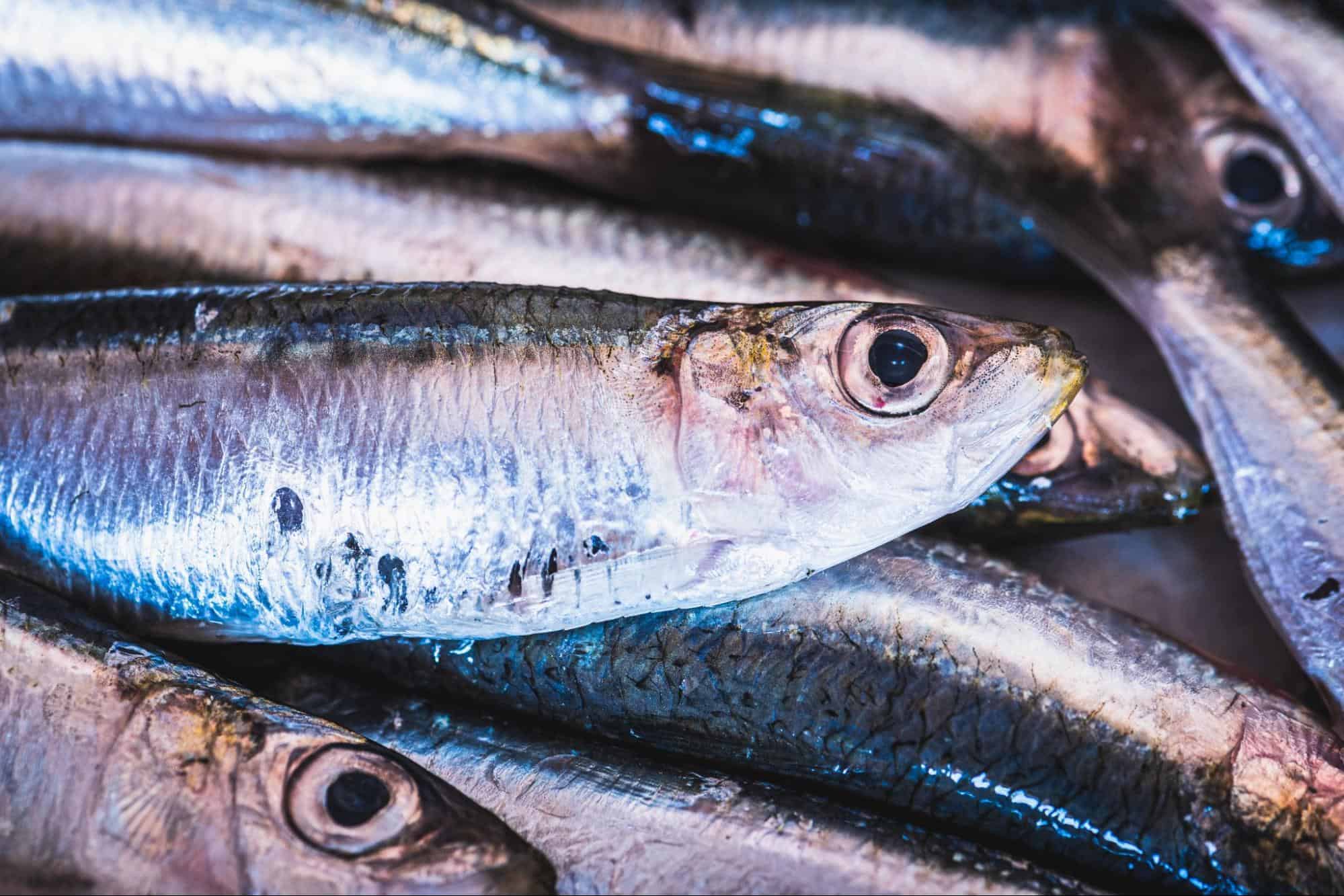 Fresh fish displayed on ice, highlighting seafood options at a local market.