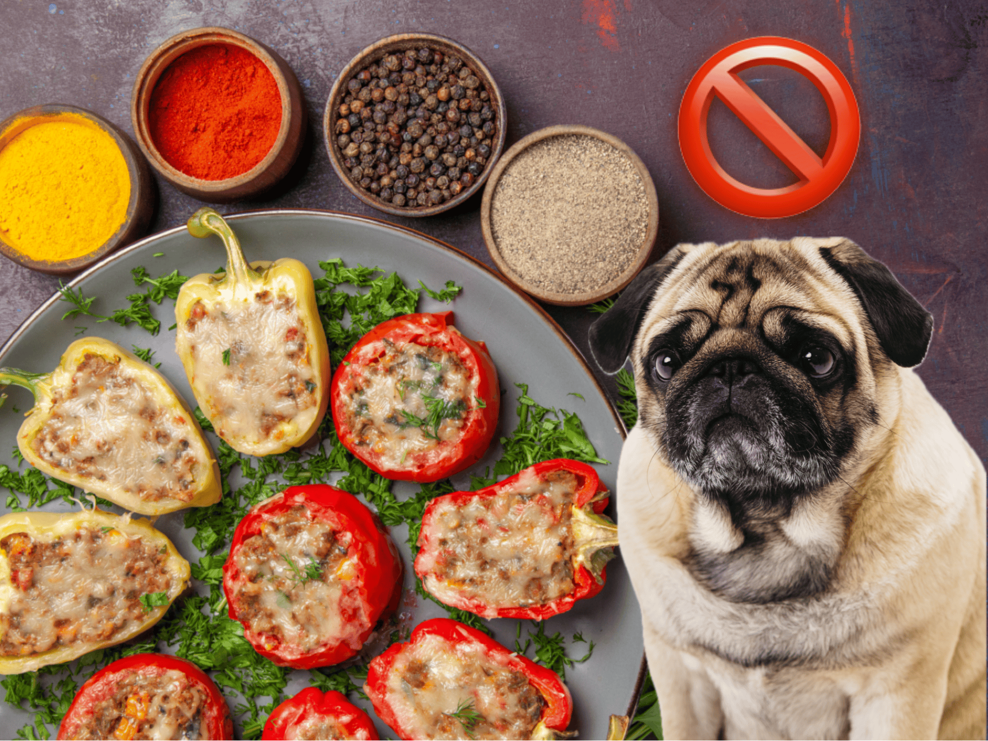 Healthy stuffed peppers with cheese for dogs, high-quality ingredients for canine nutrition.