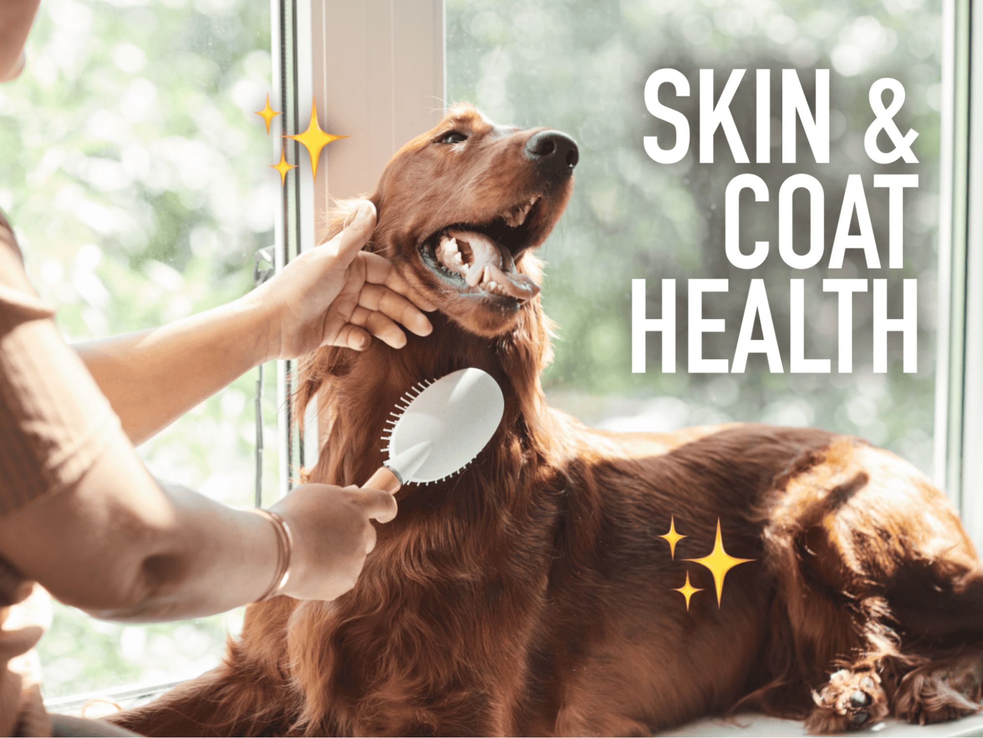 Skin and Coat Health
