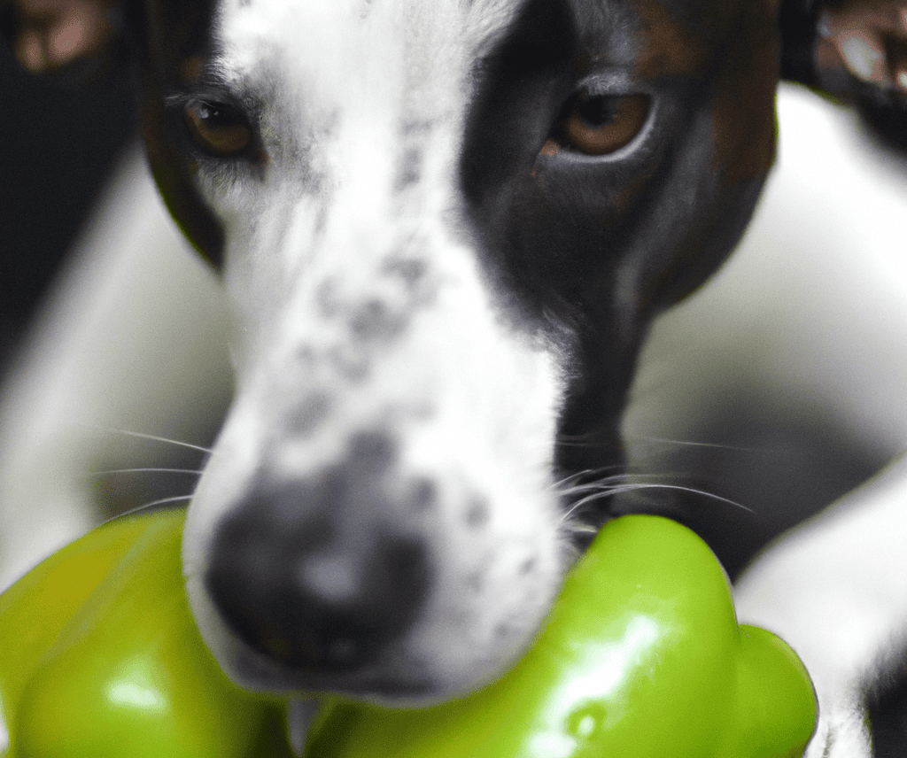 Close-up of a dog with a green bell pepper, emphasizing pet health and nutrition.