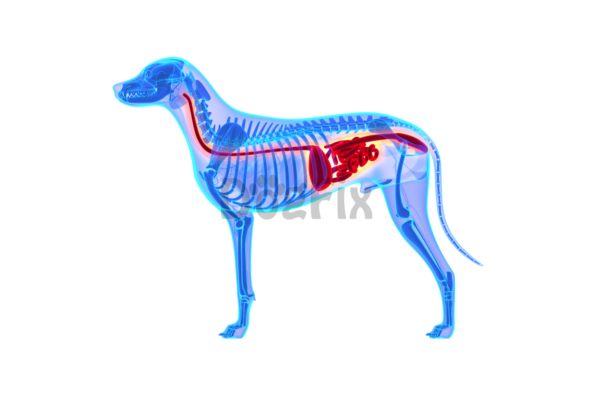 Strawberry Overdose A Real Deal