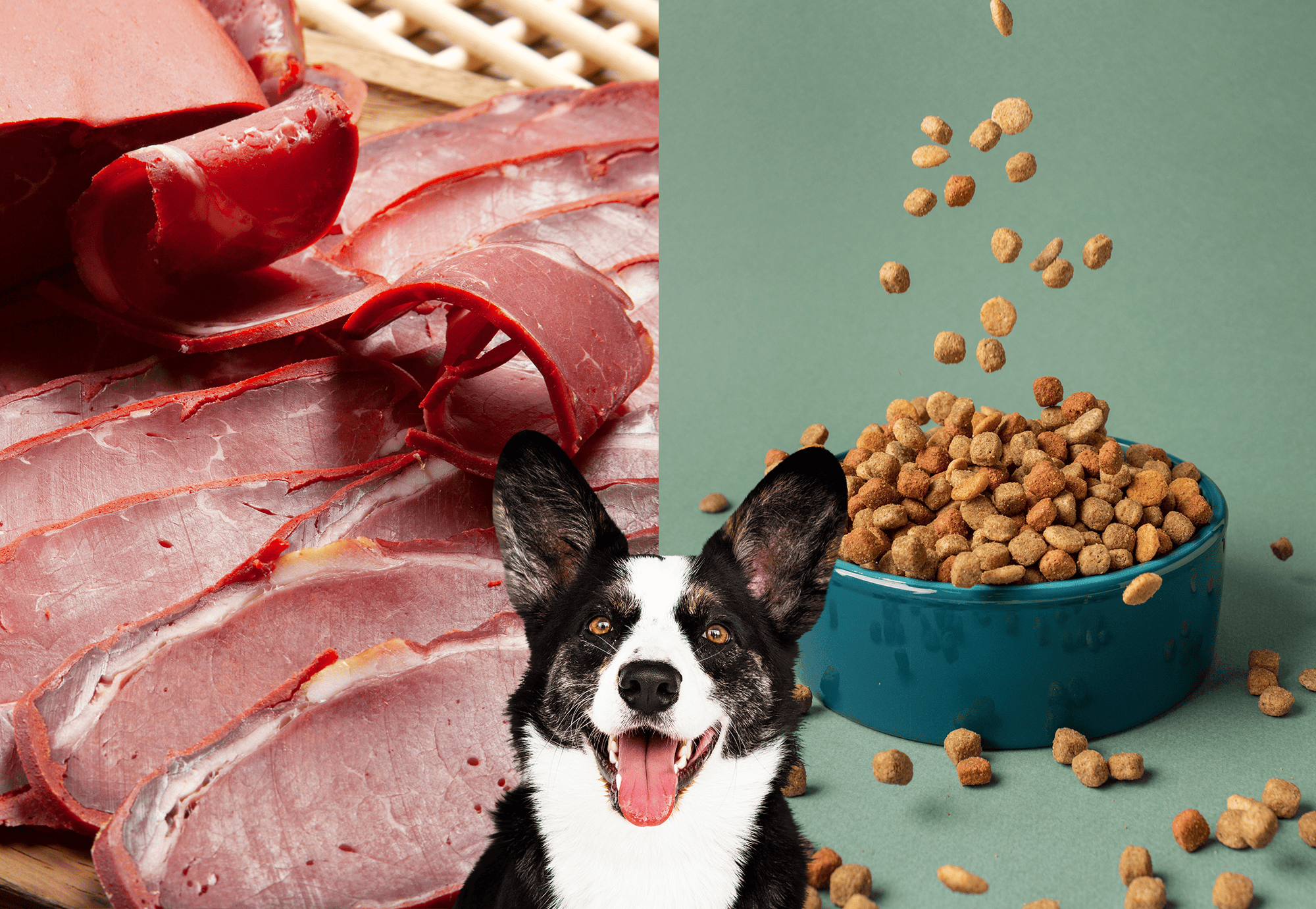 Delicious meat cuts & nutritious dog food for optimal health and happiness.