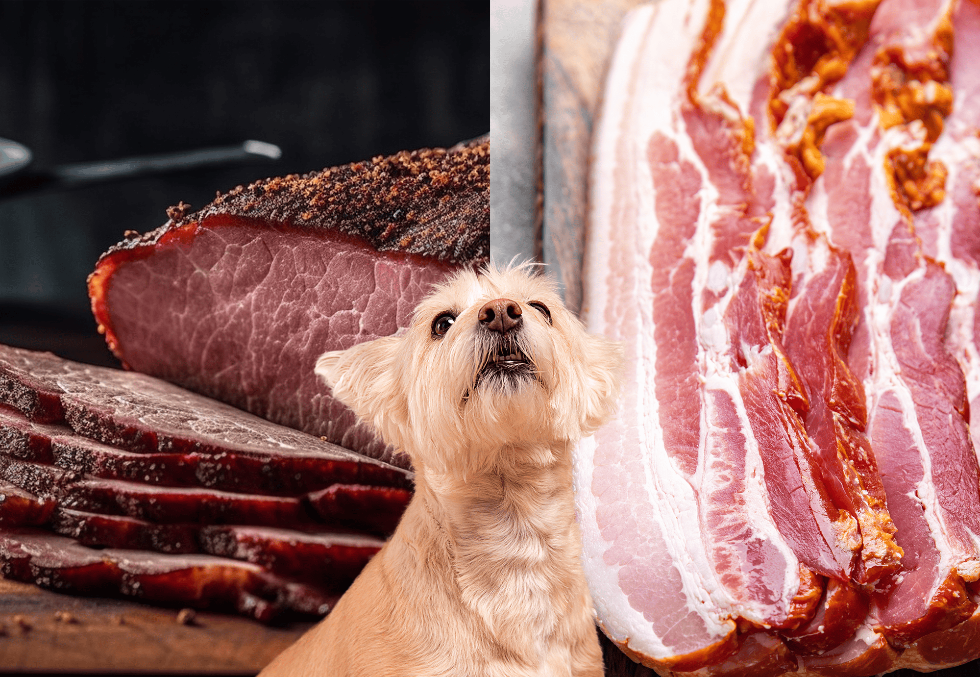 Delicious raw meat and bacon with cute dog focus, ideal for pet treats.