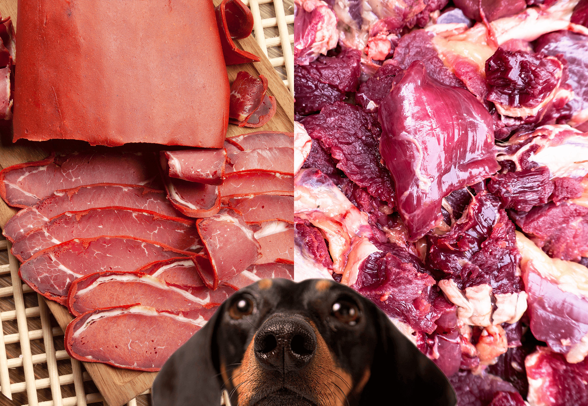 High-quality meat and raw dog food supplies for healthy pets.