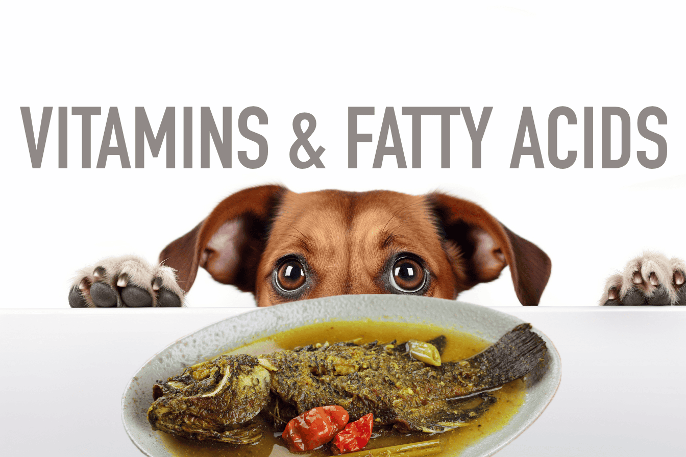 Vitamins and Fatty Acids