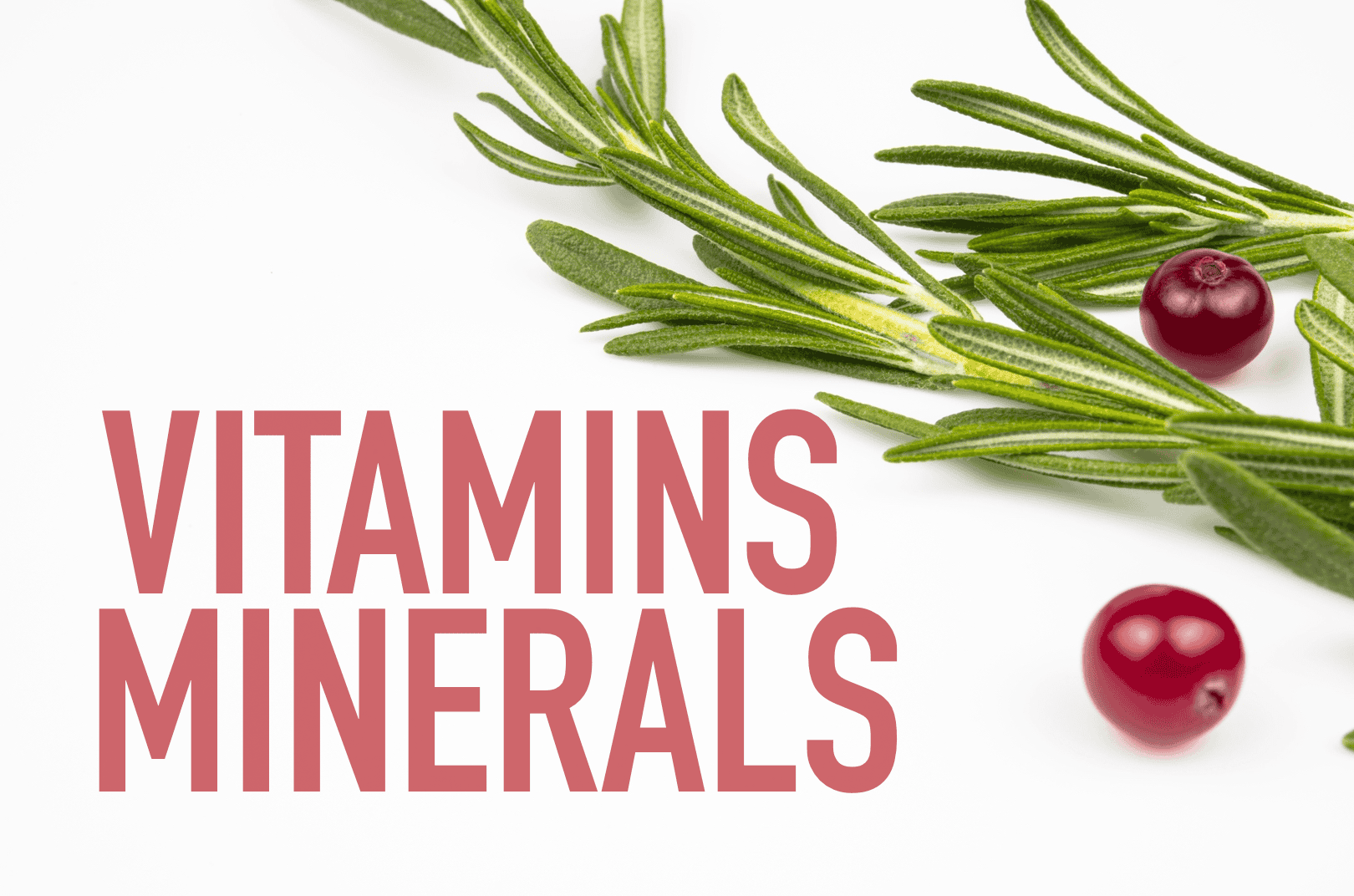 Fresh rosemary and cranberries promote dog health.