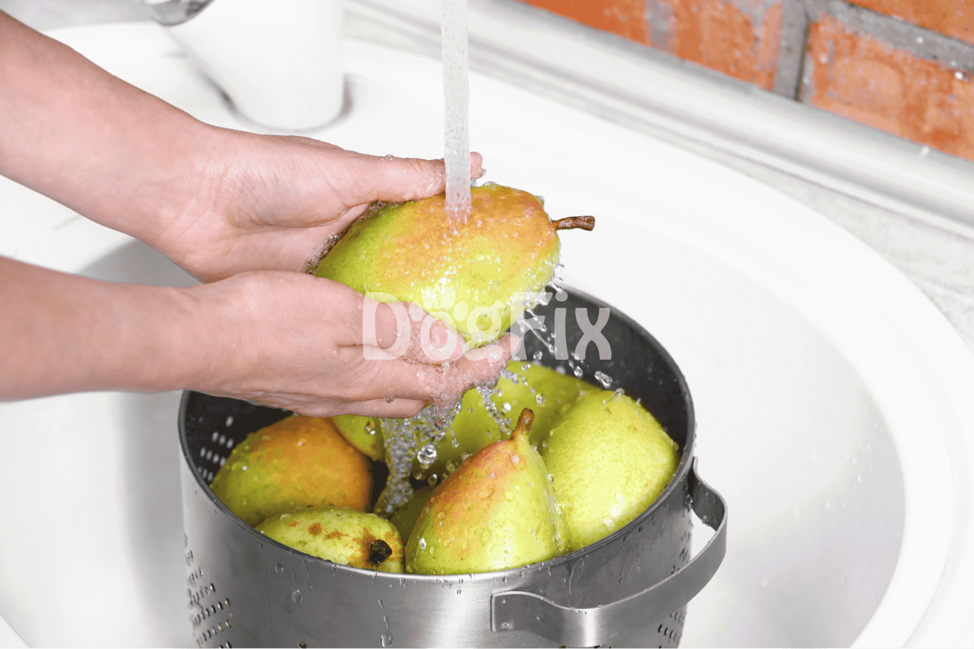 Hand washing fresh pears in a kitchen sink, preparing healthy dog treats with natural ingredients.