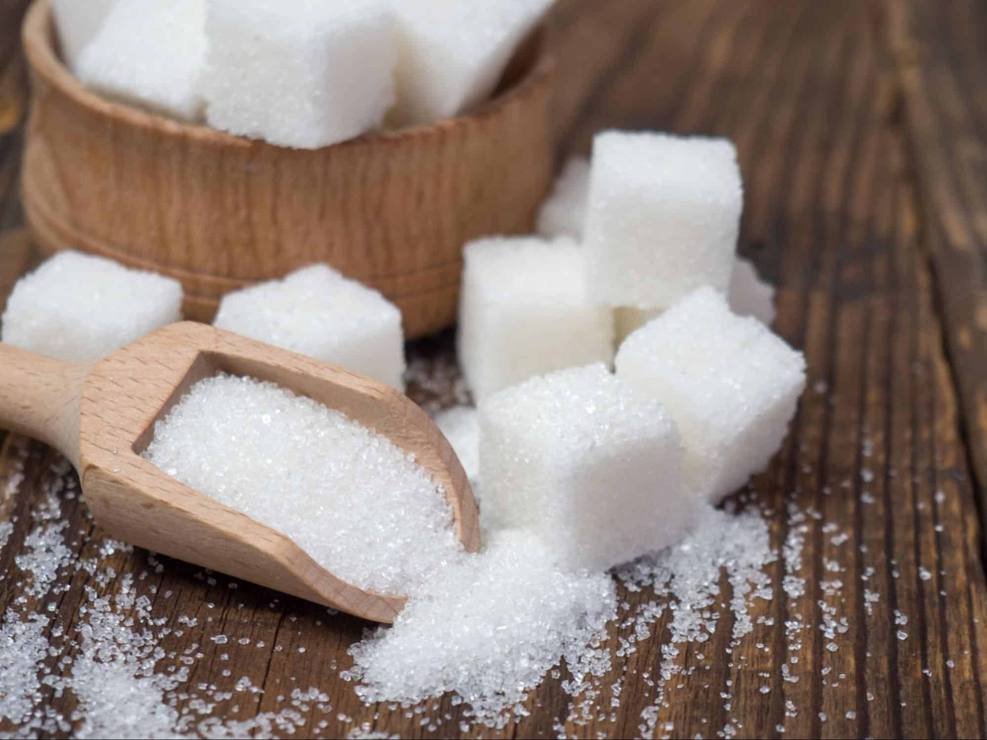 What Happens If Dogs Eat Too Much Sugar