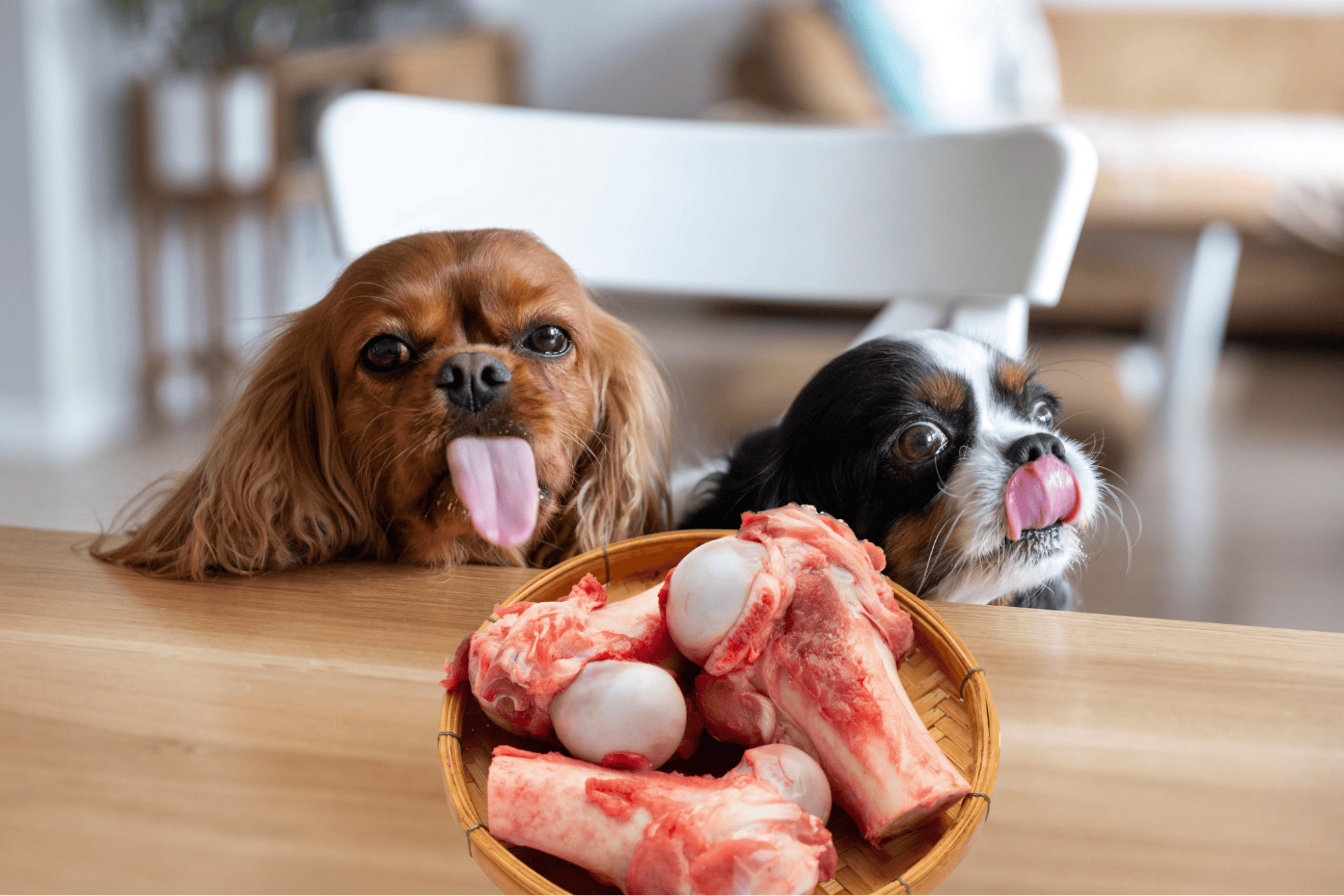 What You Need To Remember