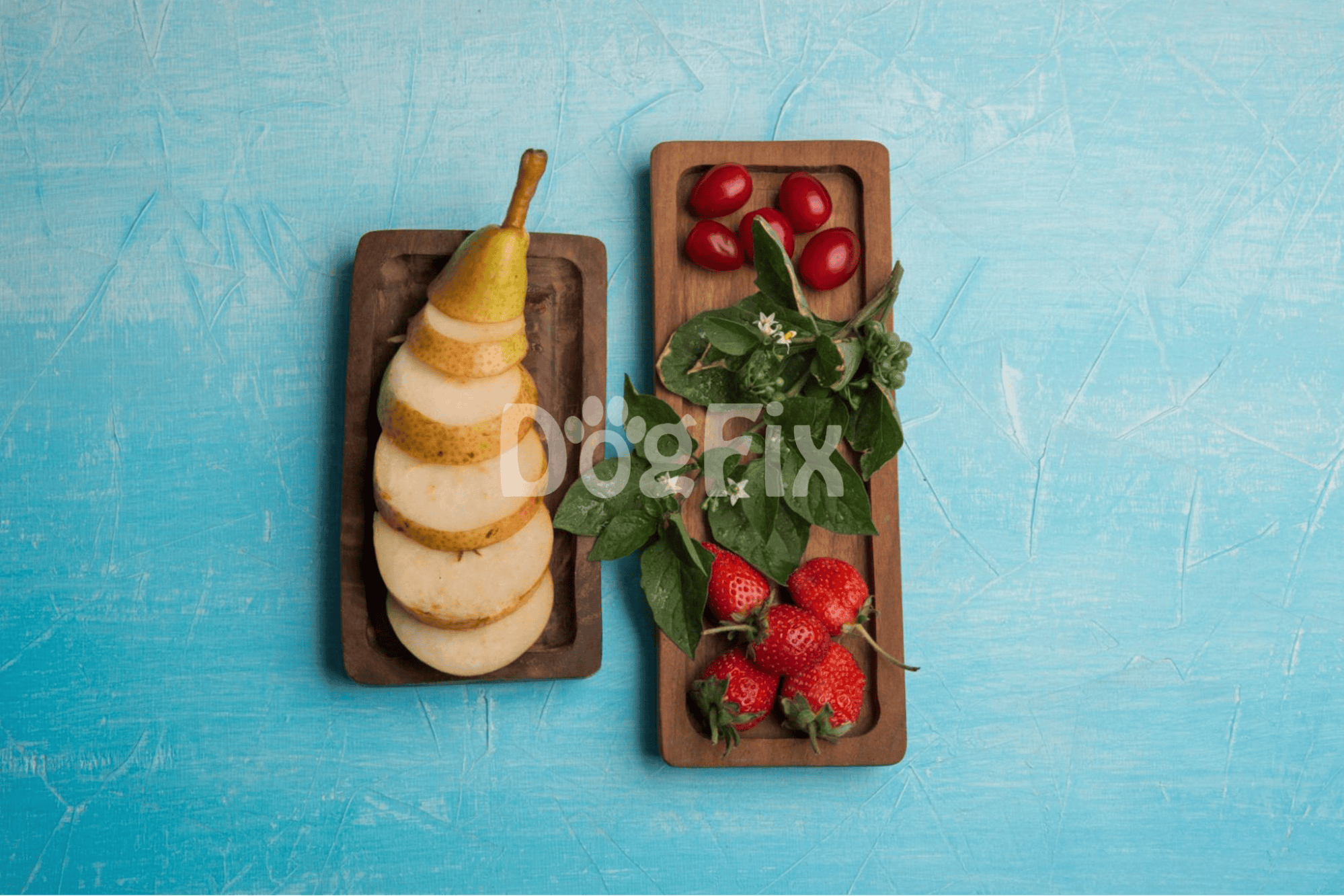 Healthy dog snacks with fresh strawberries, cherry tomatoes, leafy greens, and pear slices.