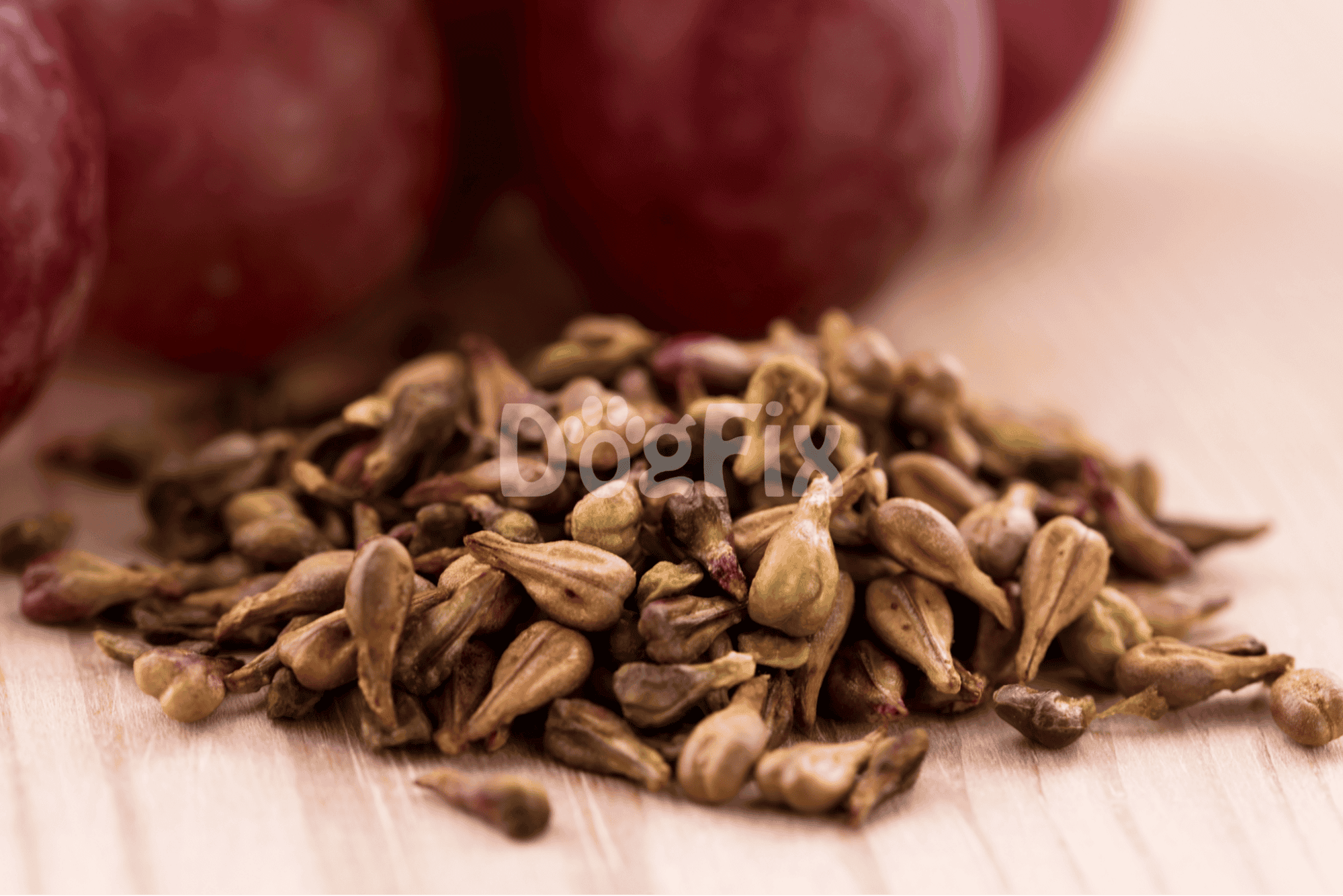 Sunflower seeds for healthy dog treats, with fresh grapes, promoting canine nutrition and wellness.
