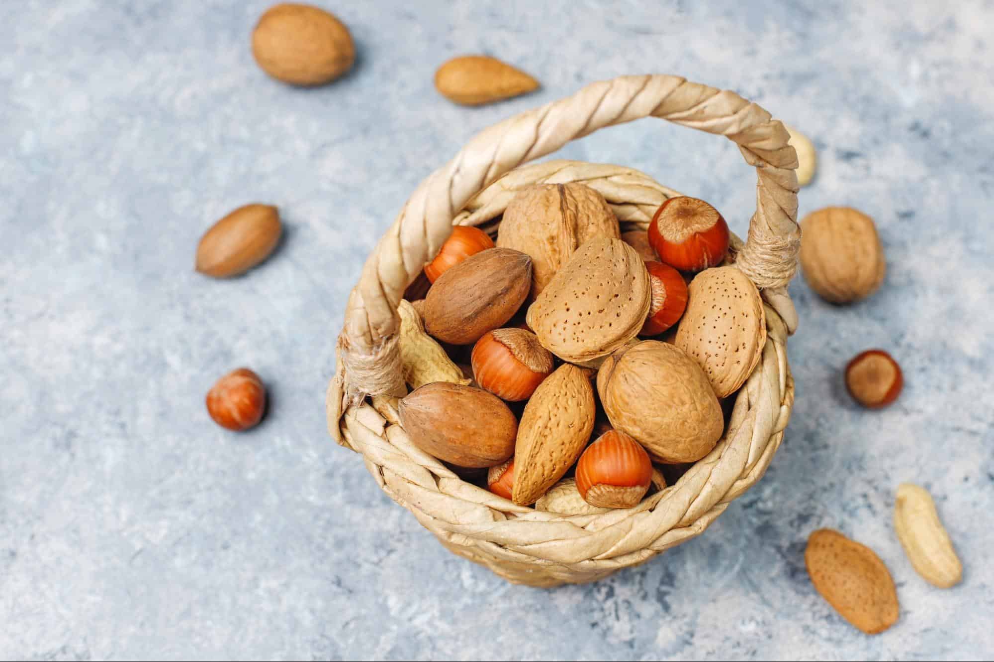 Which nuts are safe for dogs to eat