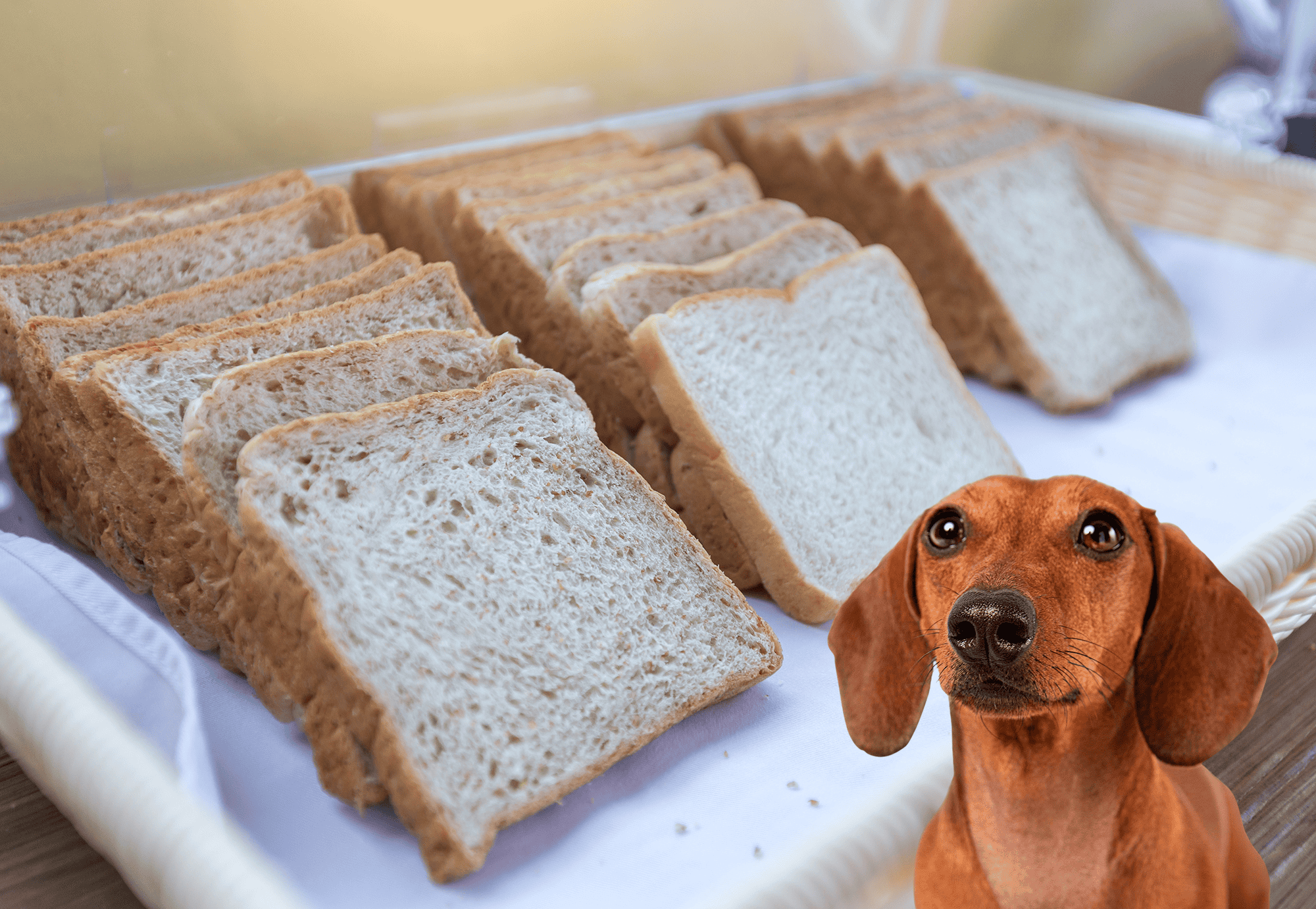 White Bread & Whole Wheat Bread