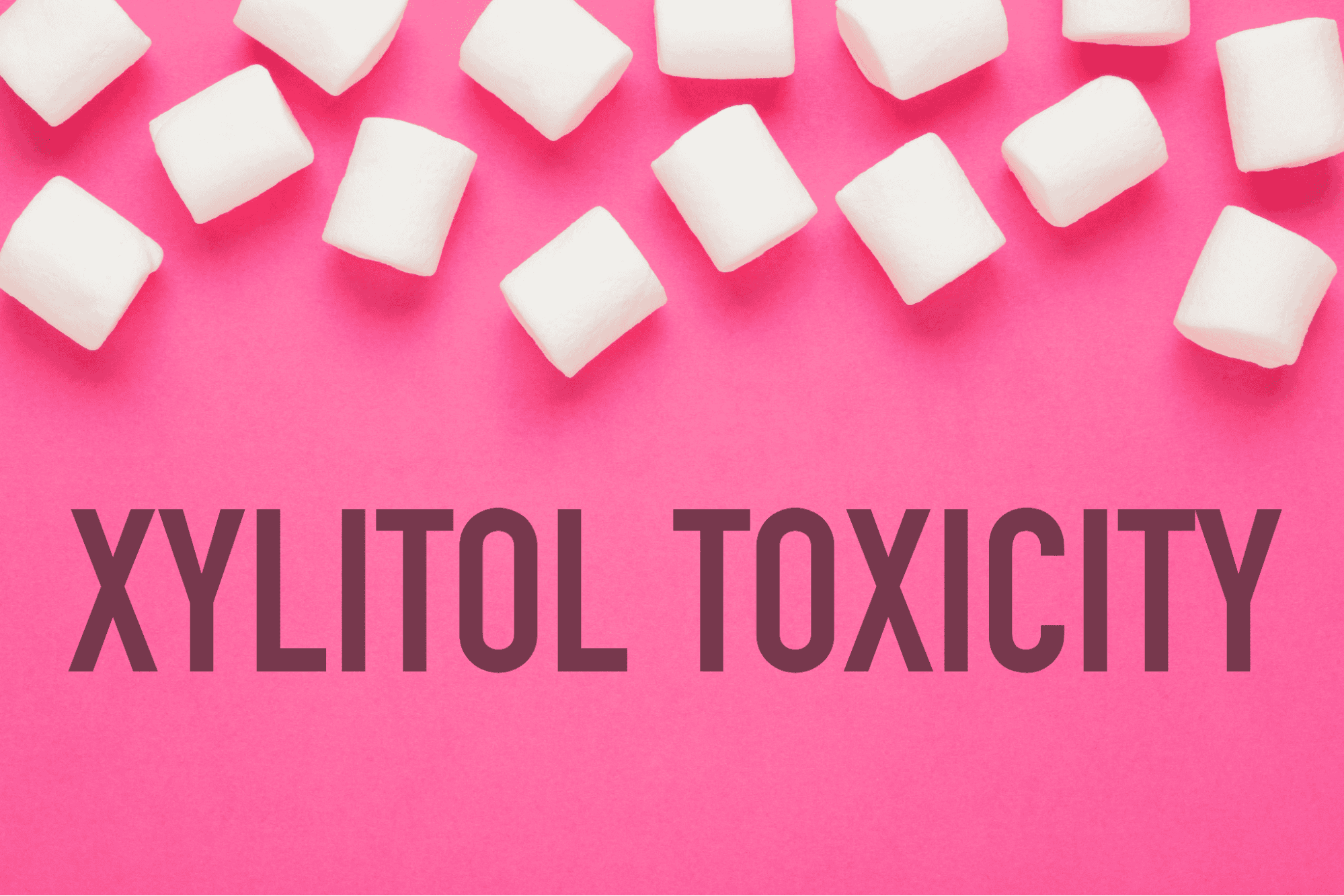 Xylitol Toxicity