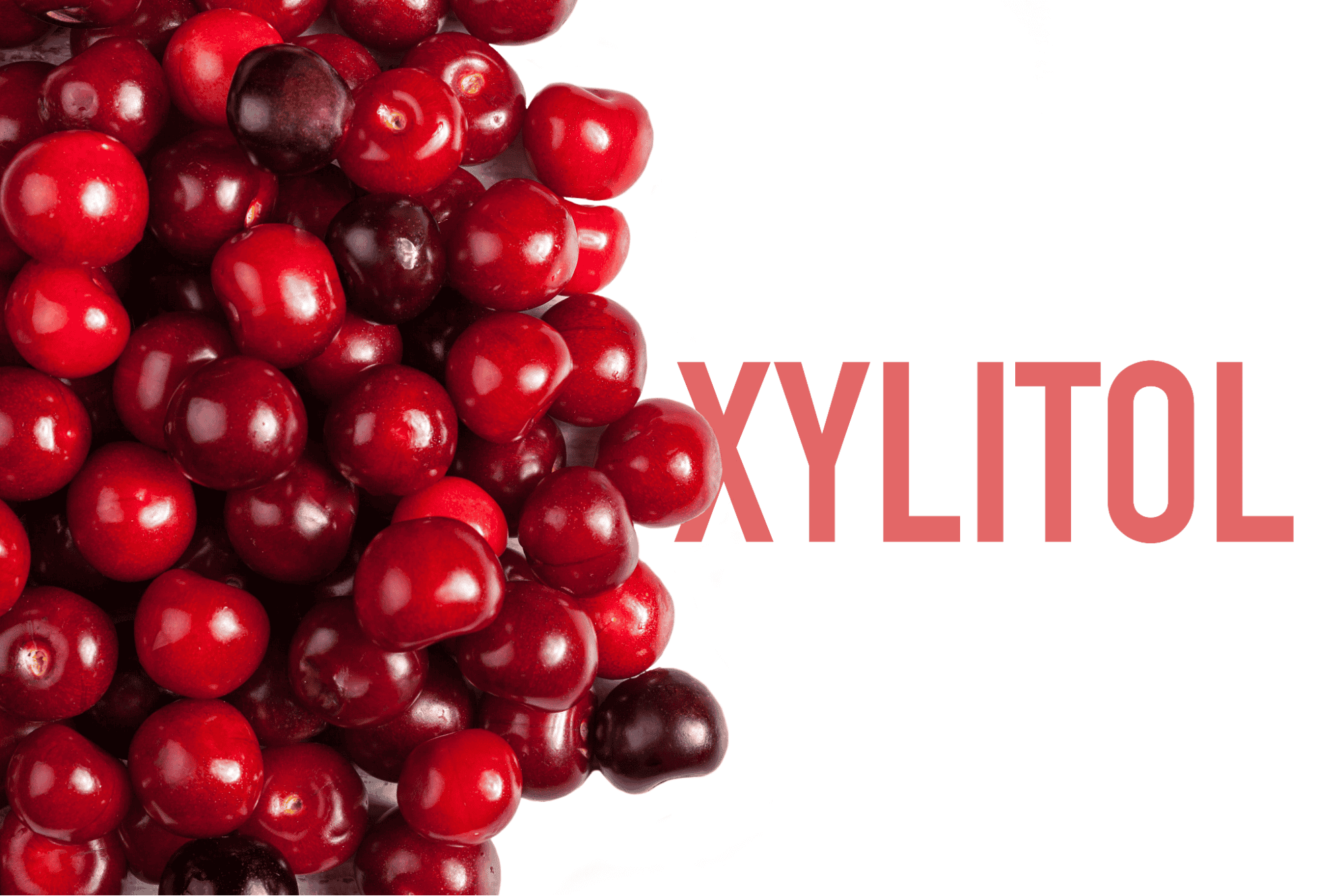 Fresh cranberries on white background with "Xylitol" text.