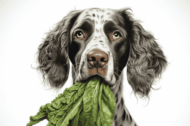 Adorable dog holding fresh leafy greens for a healthy diet, promoting canine nutrition and wellness.