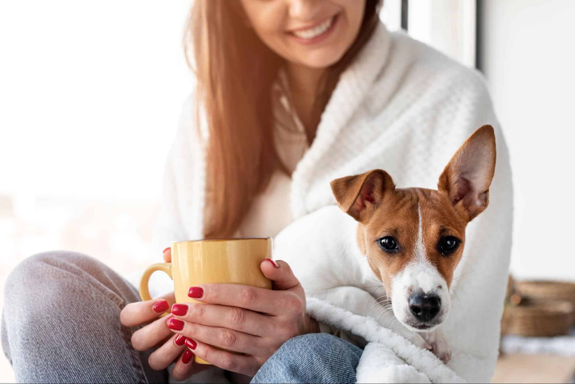 Cute dog and woman sharing a moment, emphasizing pet-friendly living and companionship.