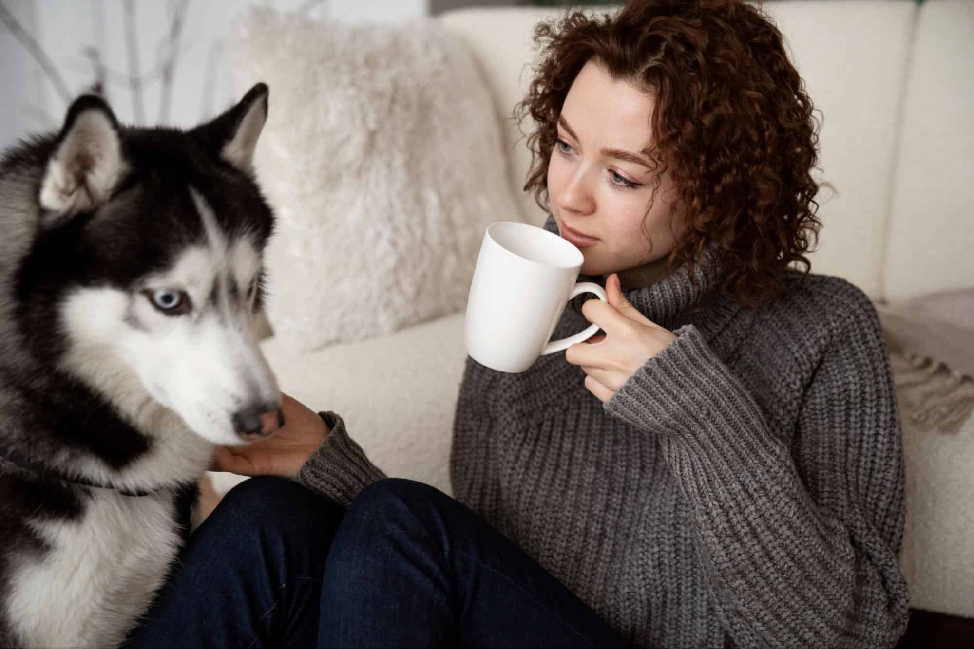 Husky dog and woman relaxing indoors, enjoying quality time together with coffee.