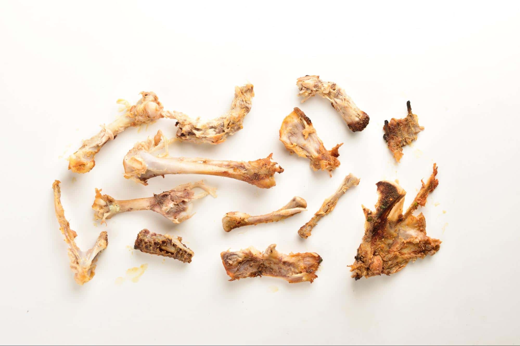 Dog bones and chews for dogs on white background.