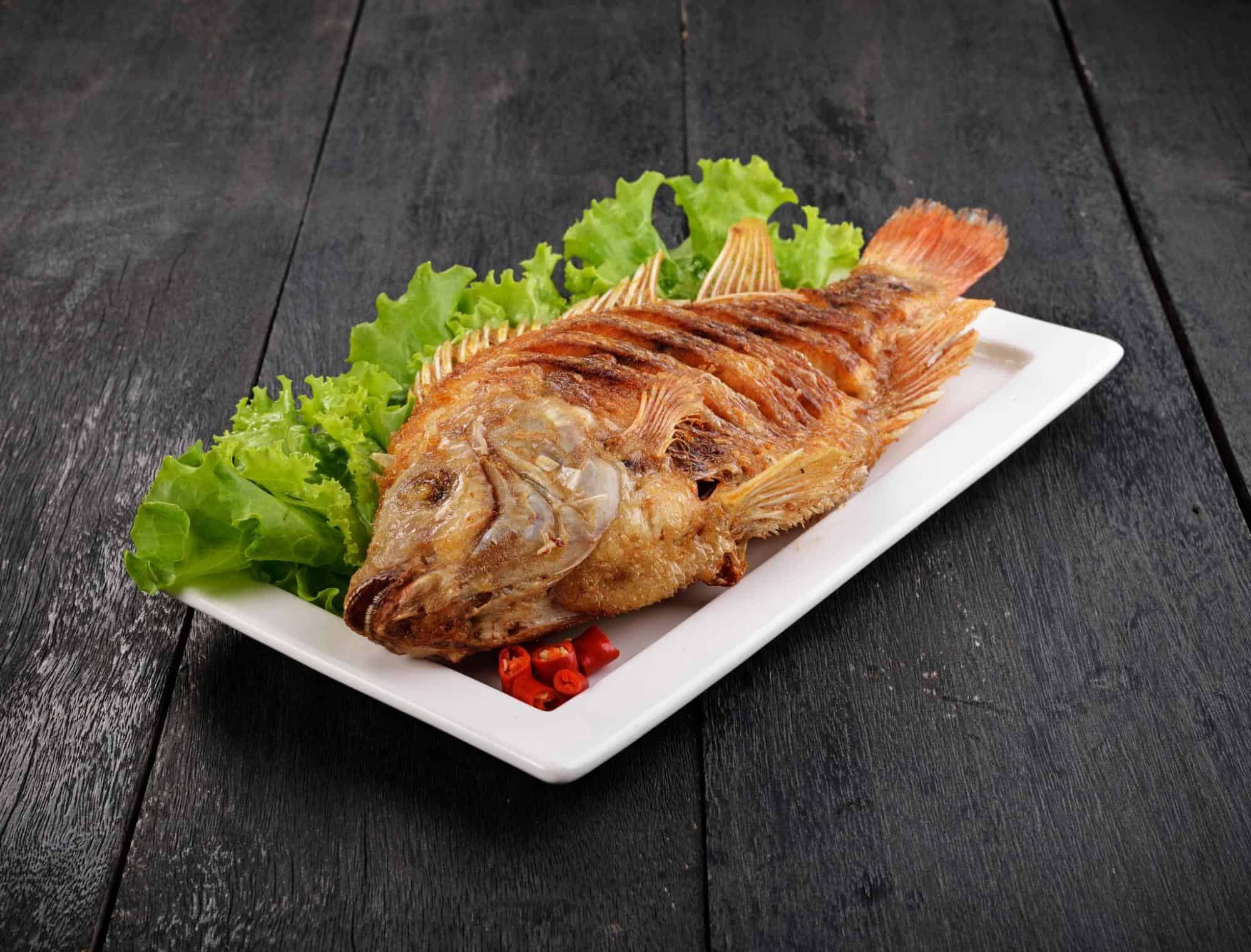 Fresh cooked fish on a white plate with lettuce, perfect for nutritious dog meals.