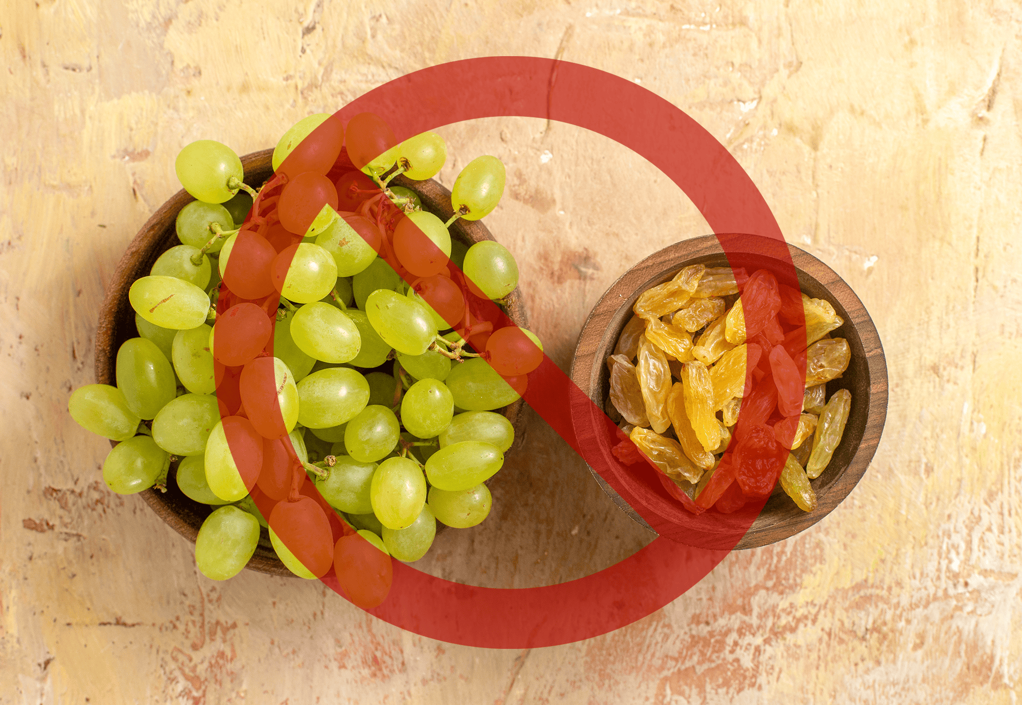 Grapes and raisins are toxic to dogs, posing serious health risks. Avoid feeding these fruits to your pet.