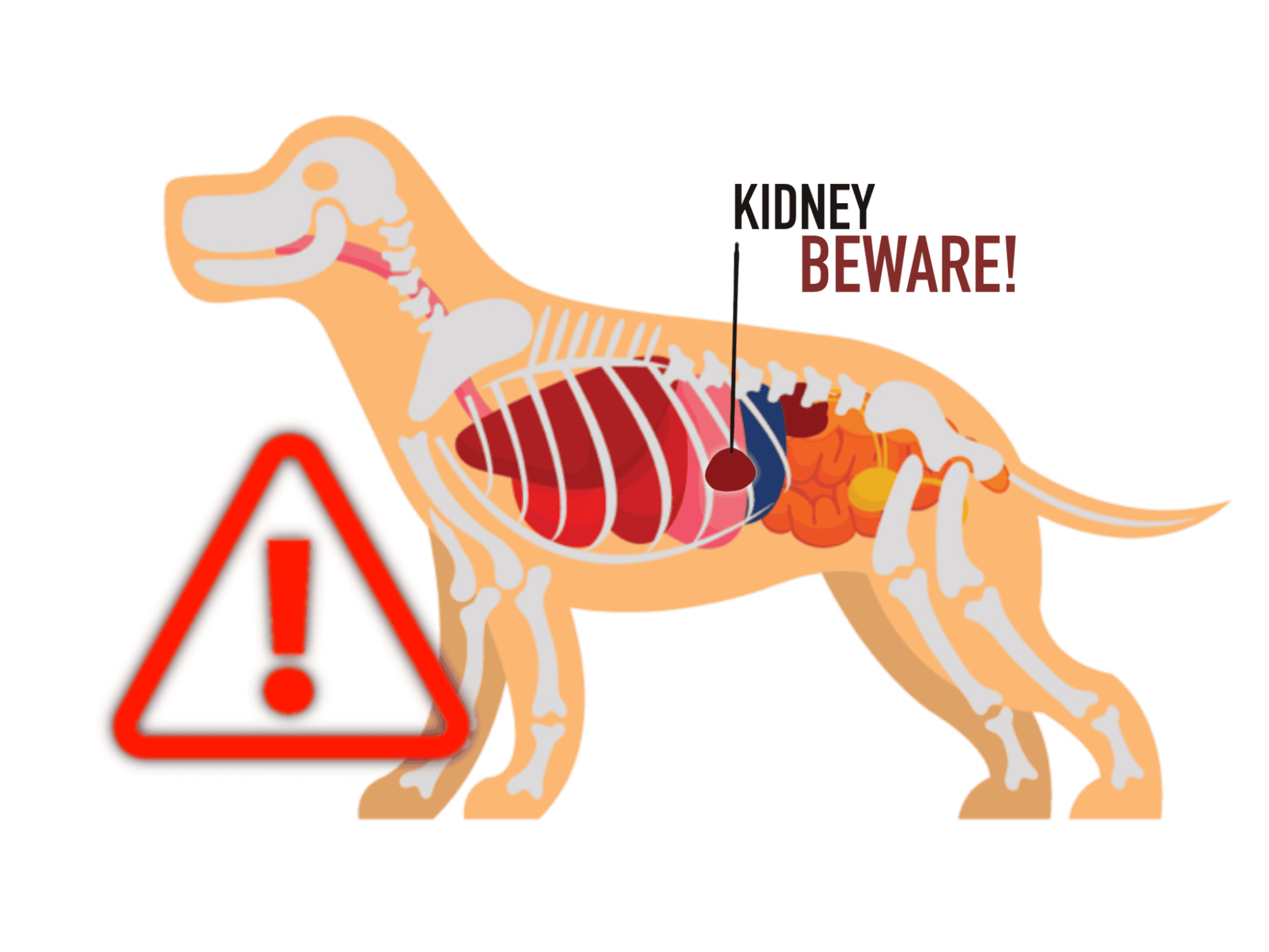 nervous system issues