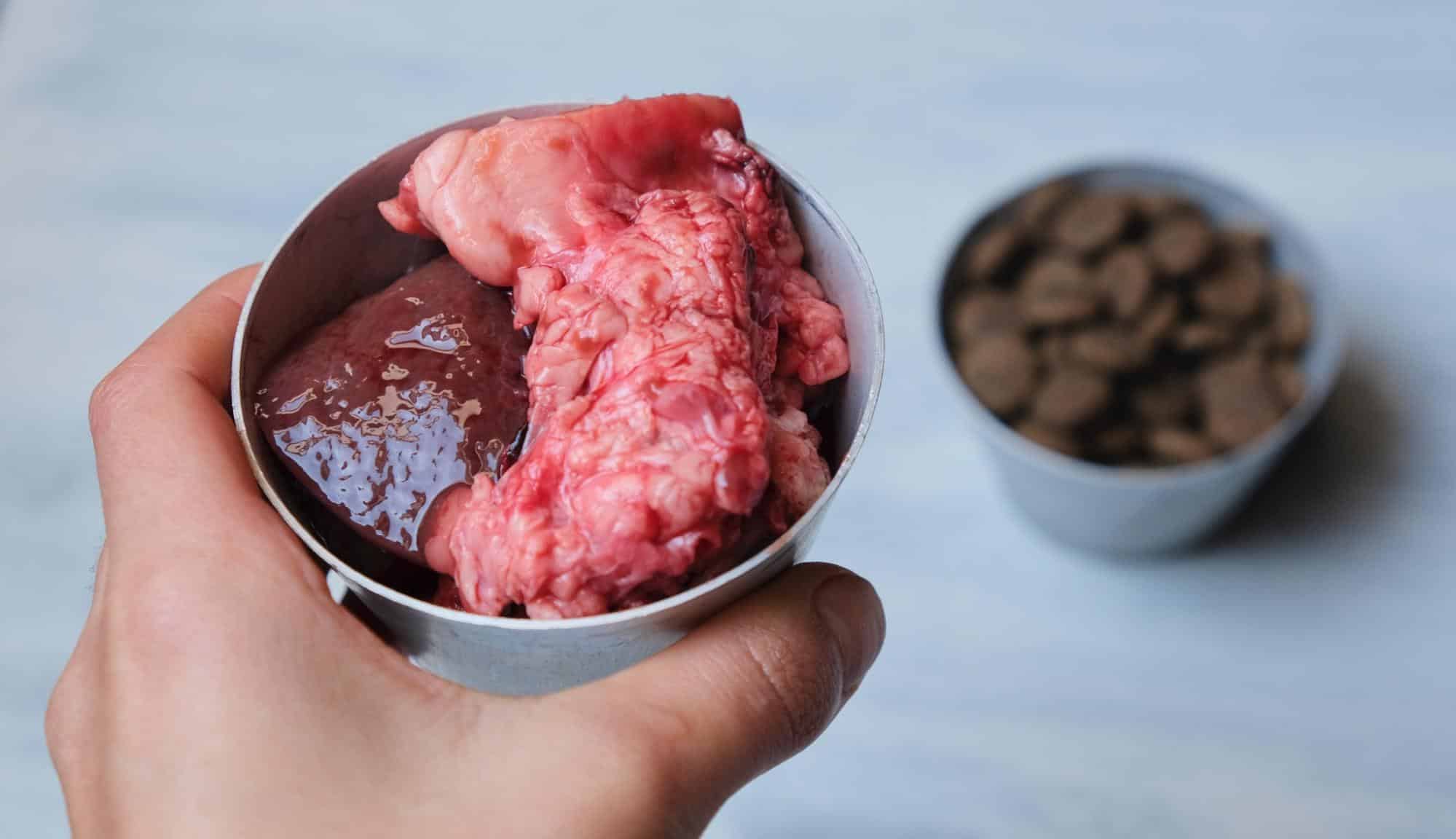 High-quality raw and wet dog food for optimal pet nutrition.