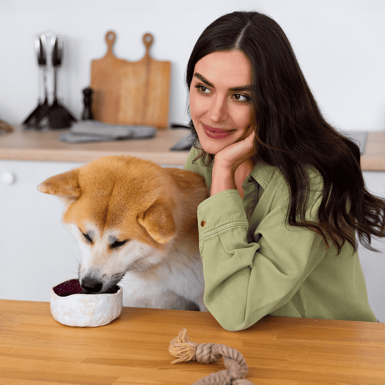 Akita Food & Diet Requirements