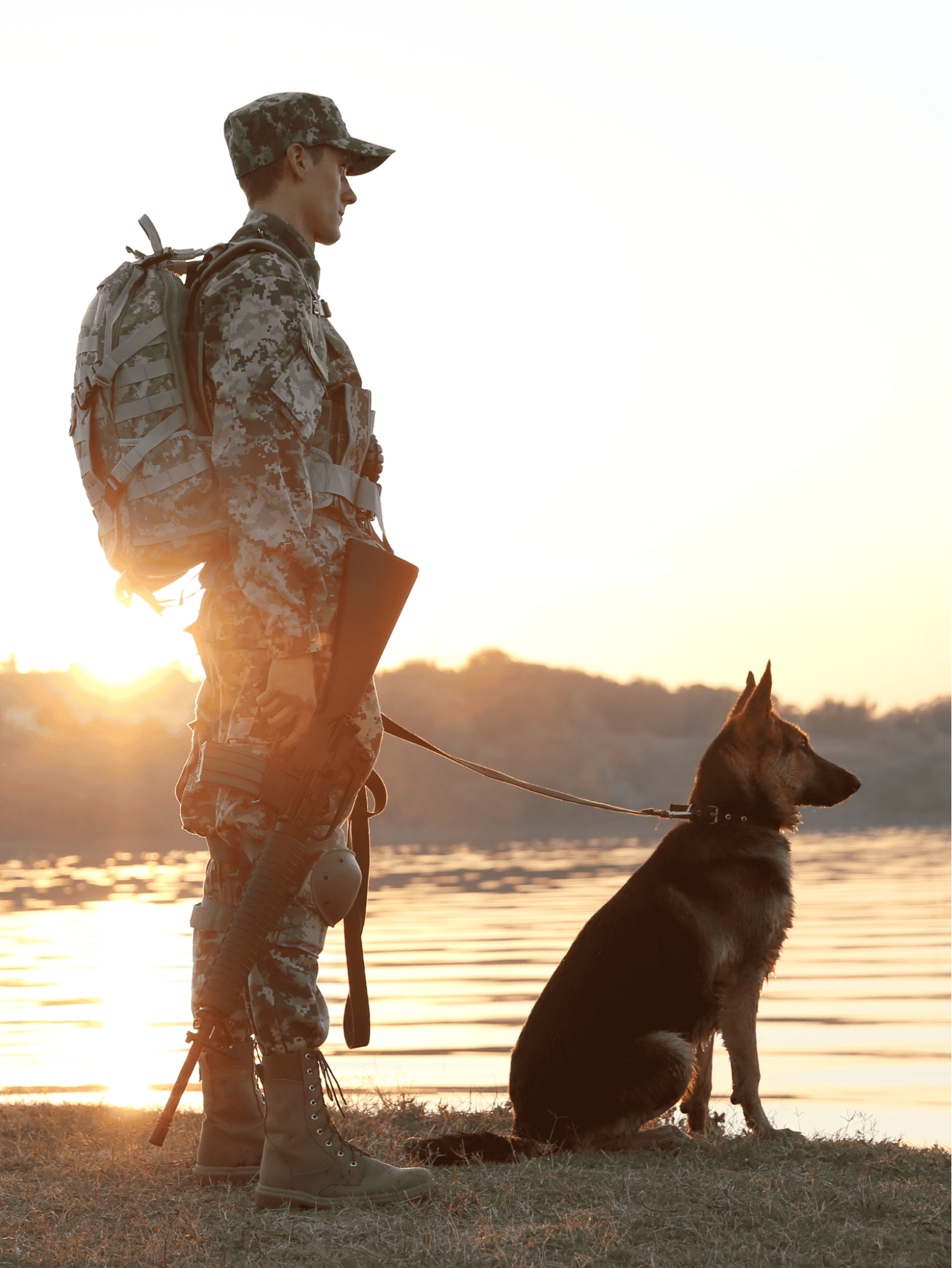 A German Shepherd Dog was the First Service Dog