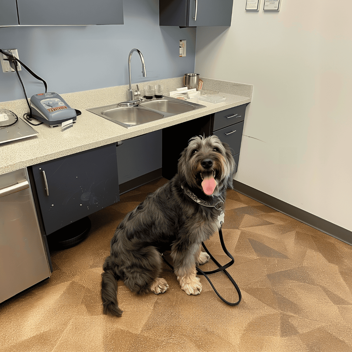 Barbado da Terceira health