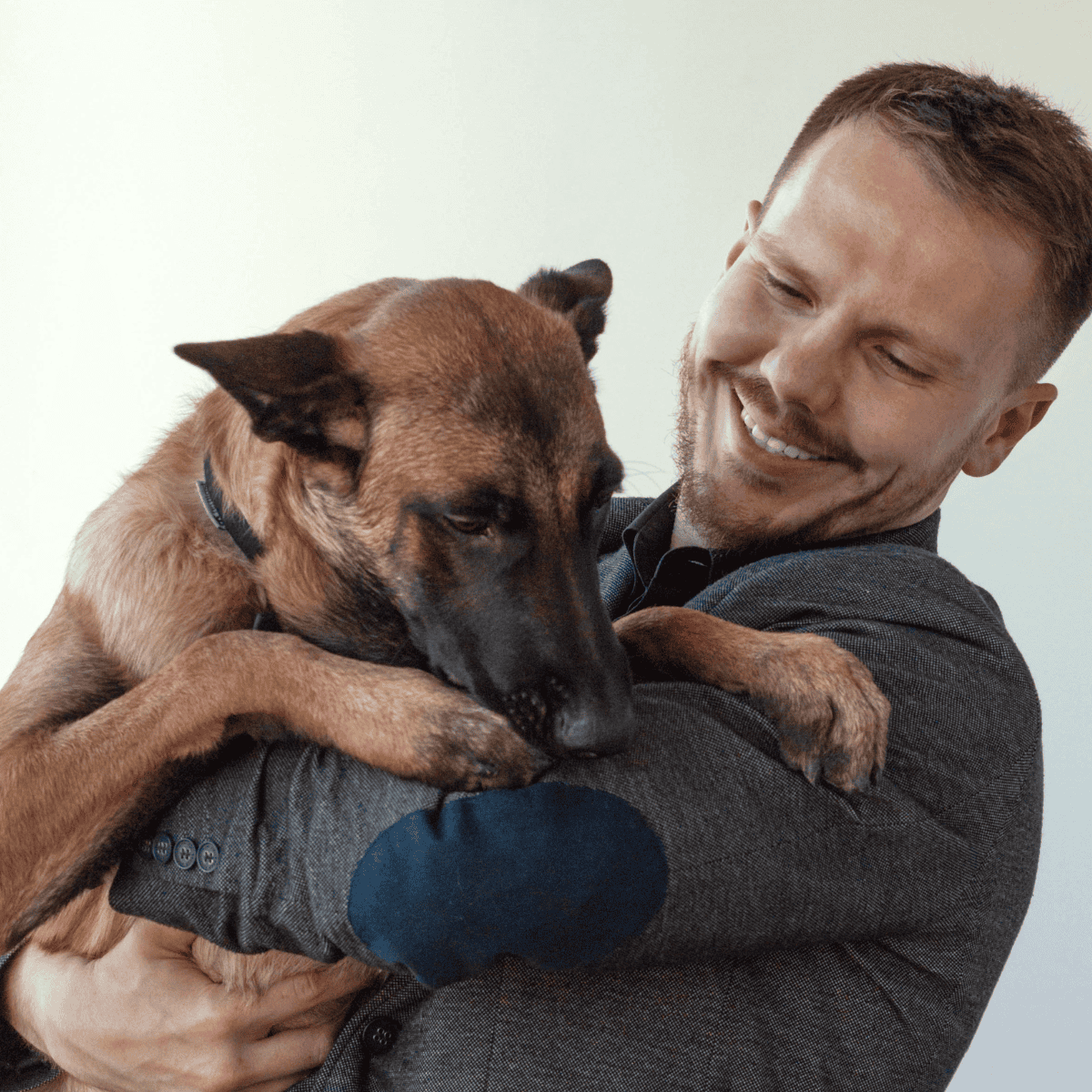 Belgian Malinois Are These Dogs Good For Families