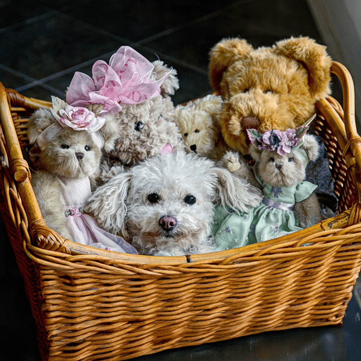 Adorable plush dog toys and teddy bears with floral accessories for pet lovers.