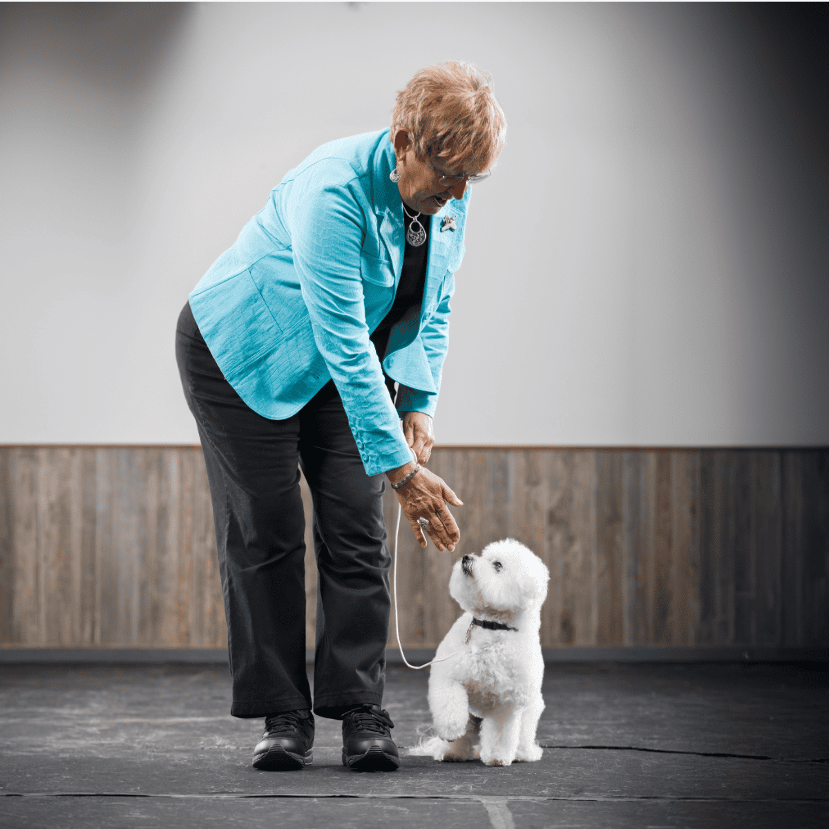 Dog training with handler and small fluffy white dog in training class.