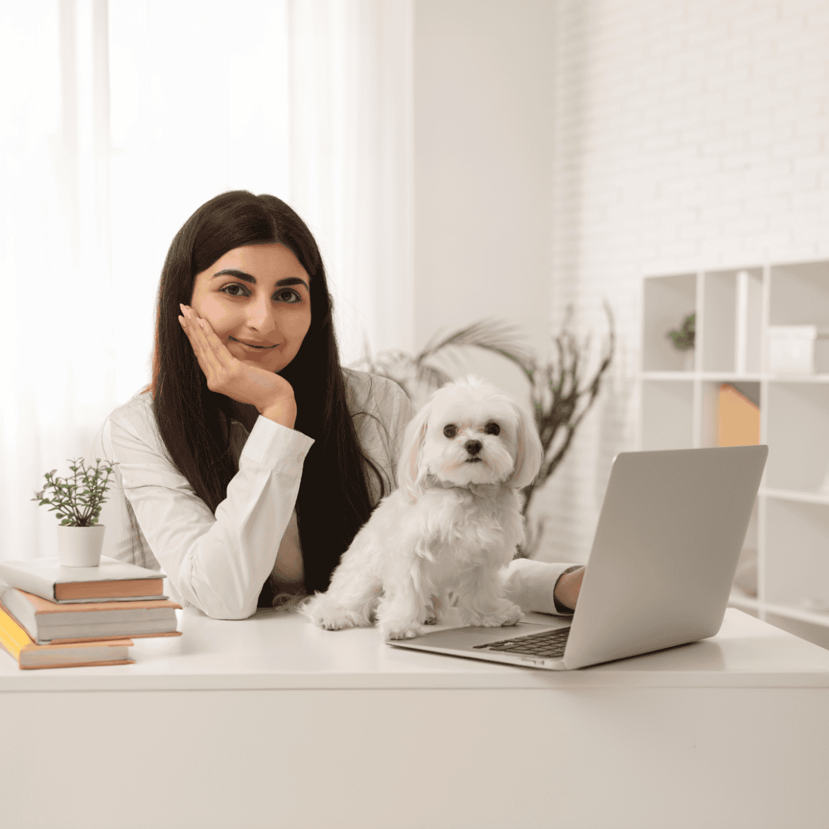 Bolognese Are These Dogs Good For Families