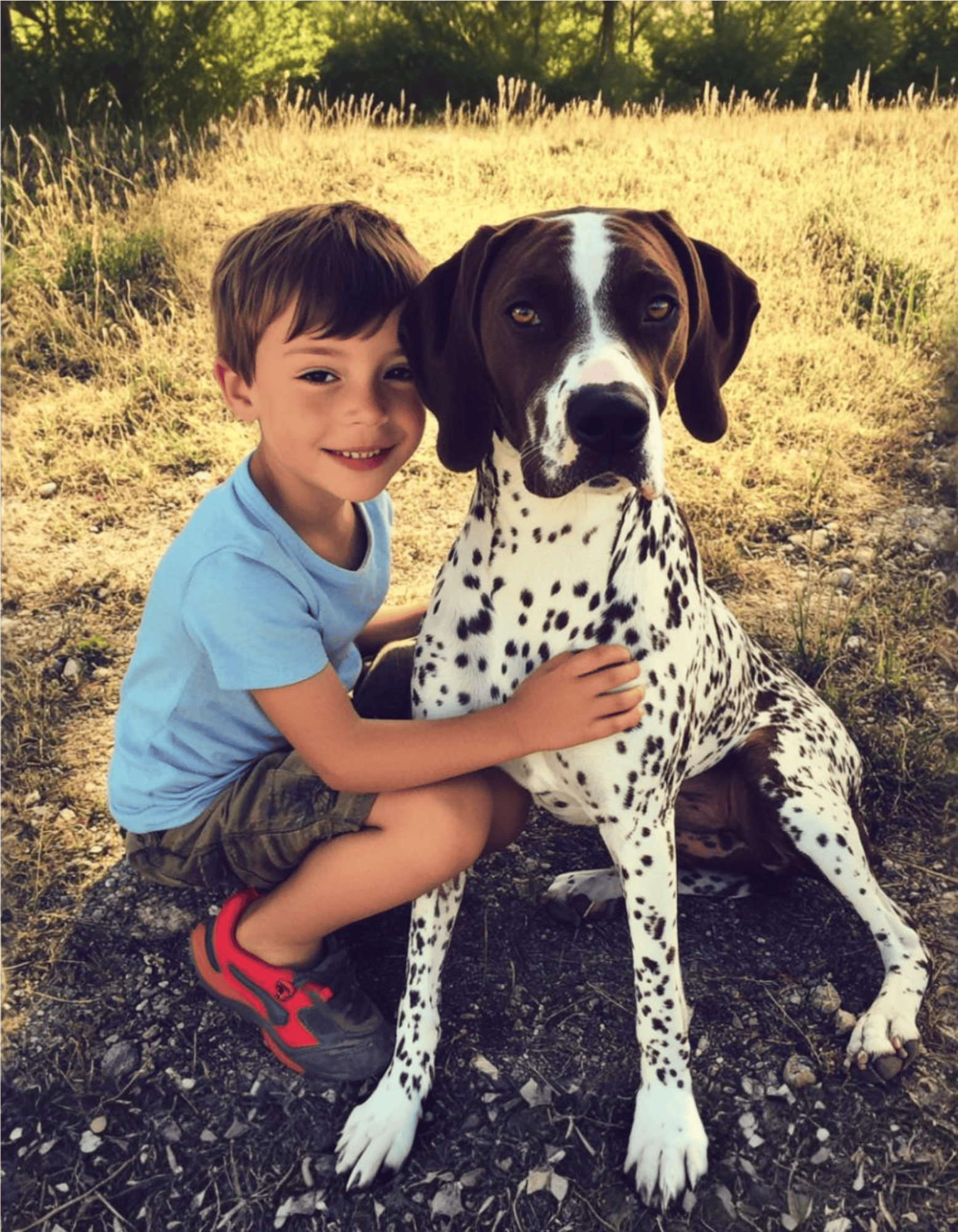 Adorable child with friendly Dalmatian, enjoying playtime outdoors.
