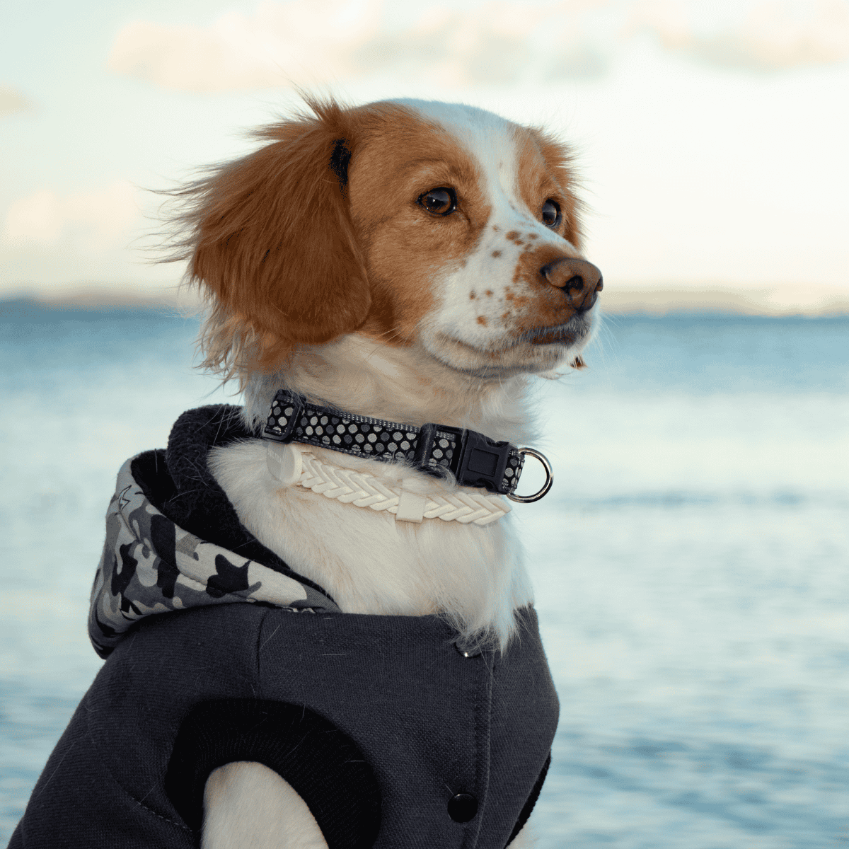 Brittany Final Thoughts