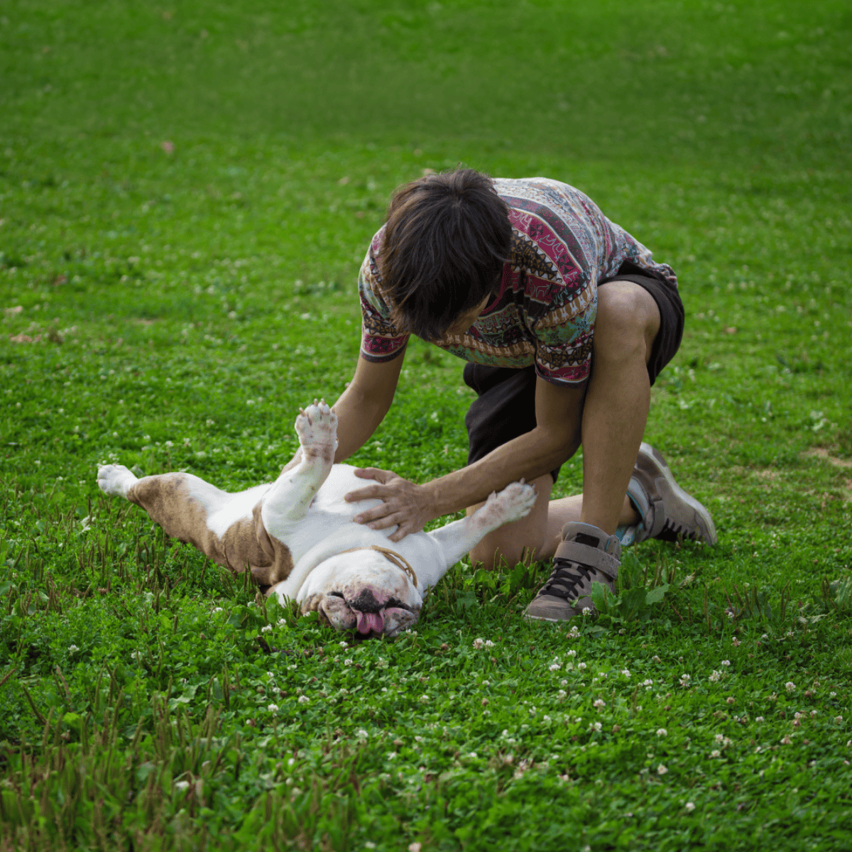 Bulldog Are These Dogs Good For Families