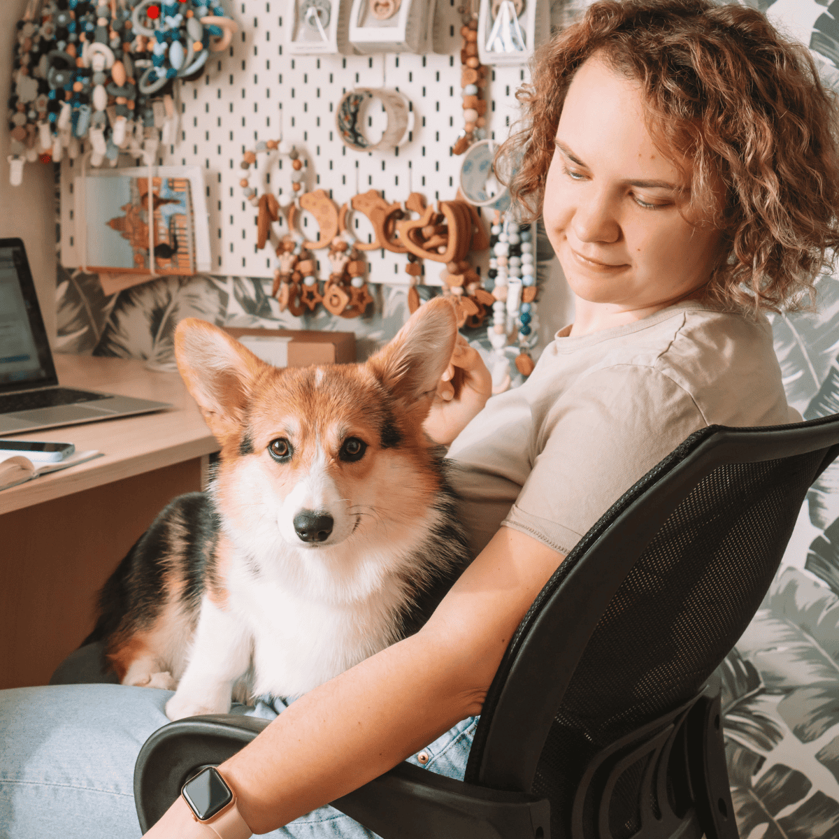 Cardigan Welsh Corgi Are These Dogs Good For Families