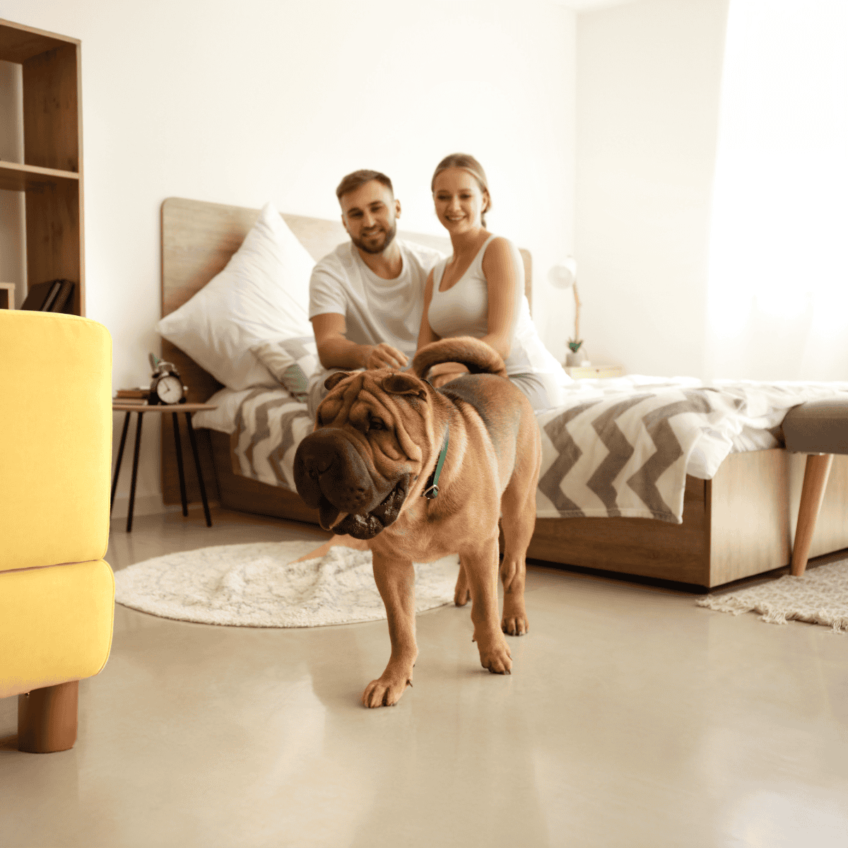 Friendly dog and happy owners in a cozy bedroom setting.