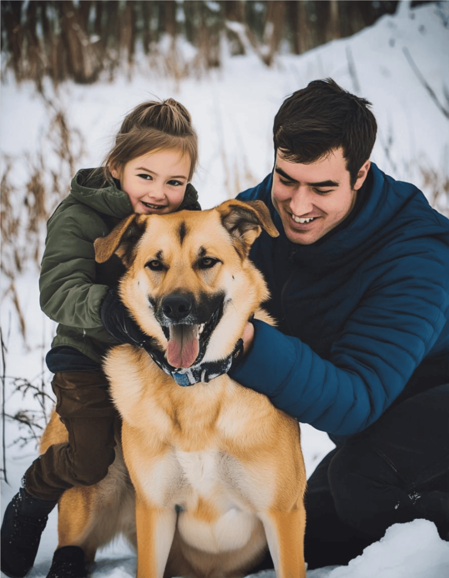 Chinook Are These Dogs Good For Families