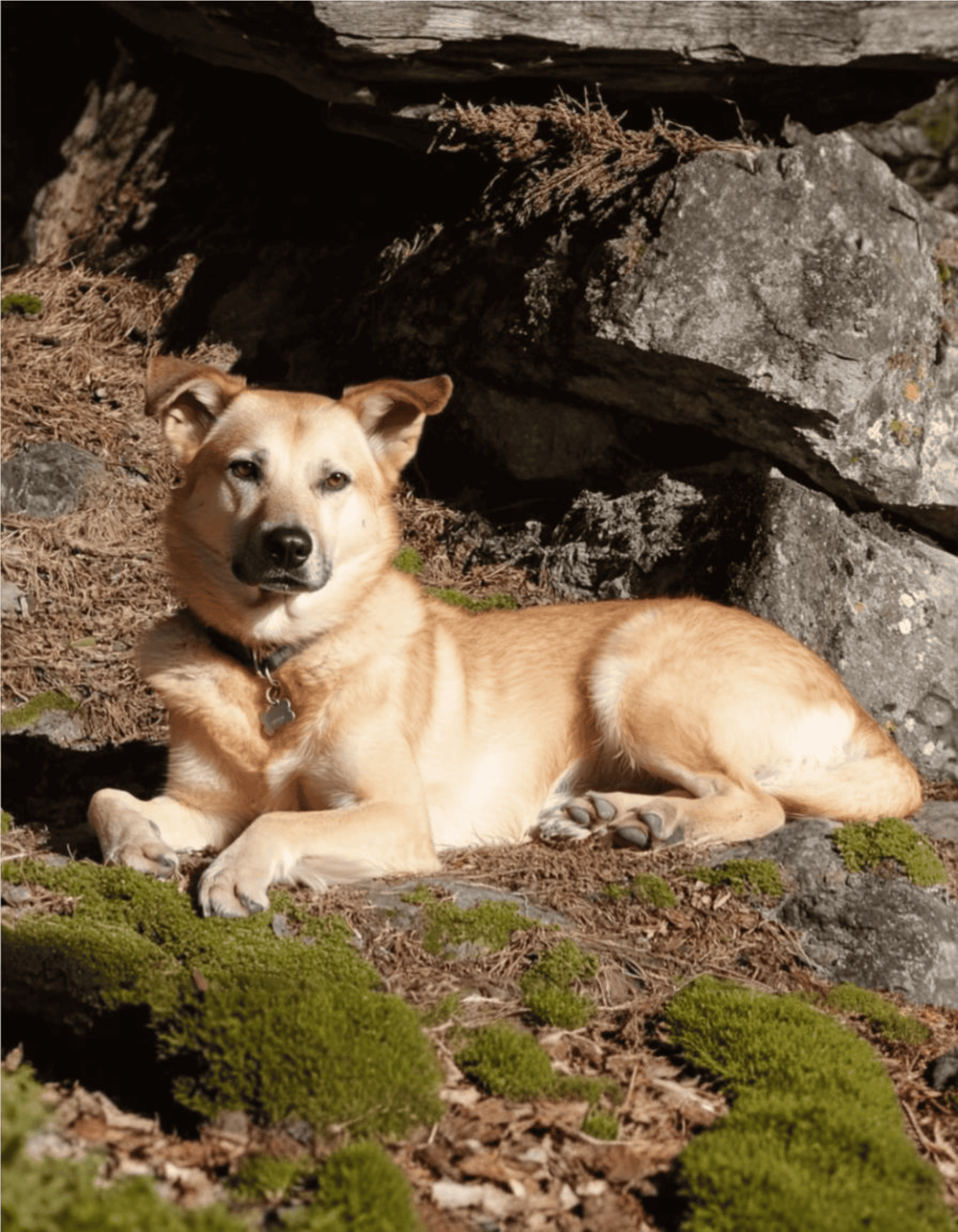 Chinook Final Thoughts