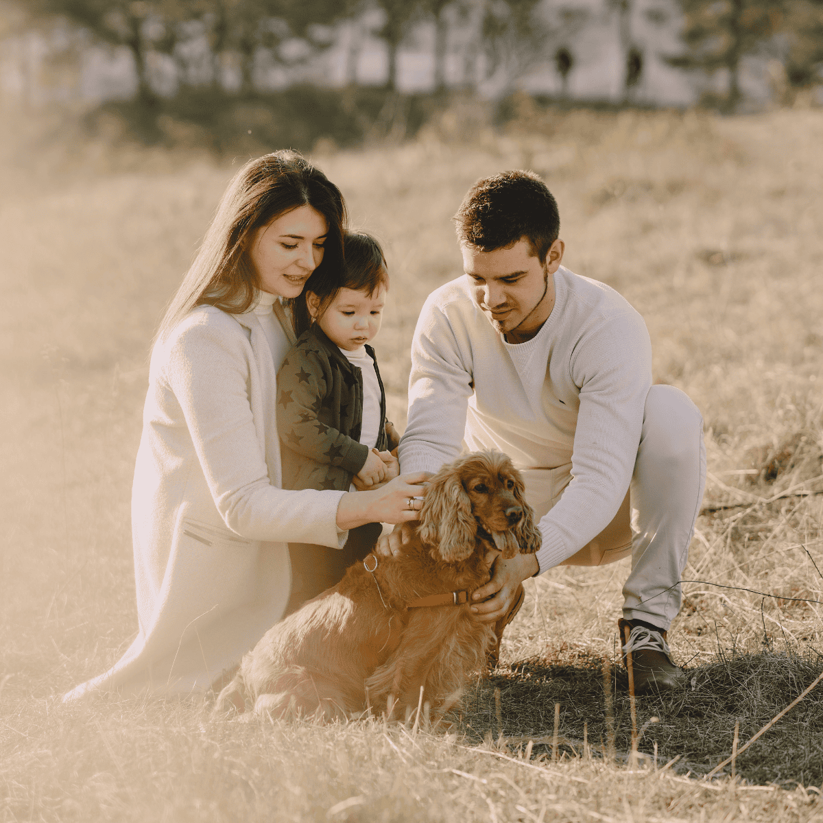 Happy family with dog, outdoor training session, dog care, obedience.