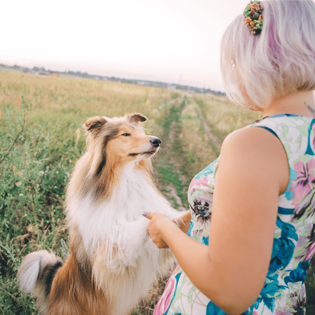 Dog and owner enjoying outdoor walk, quality time with pet.