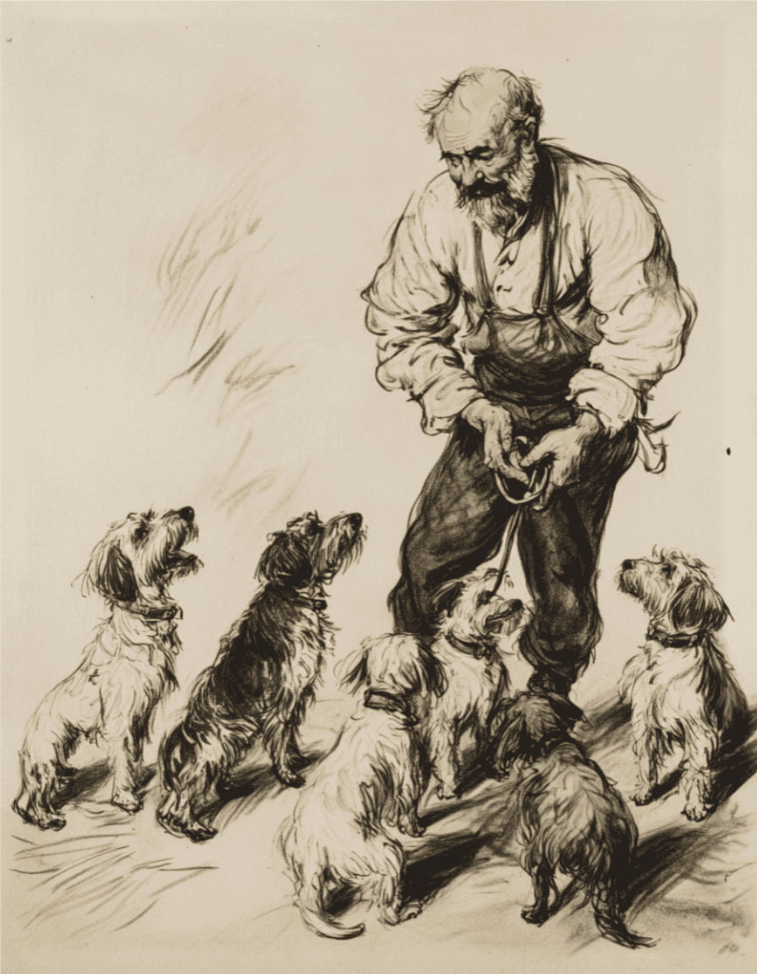 Dog training with tough labradors and an instructor.